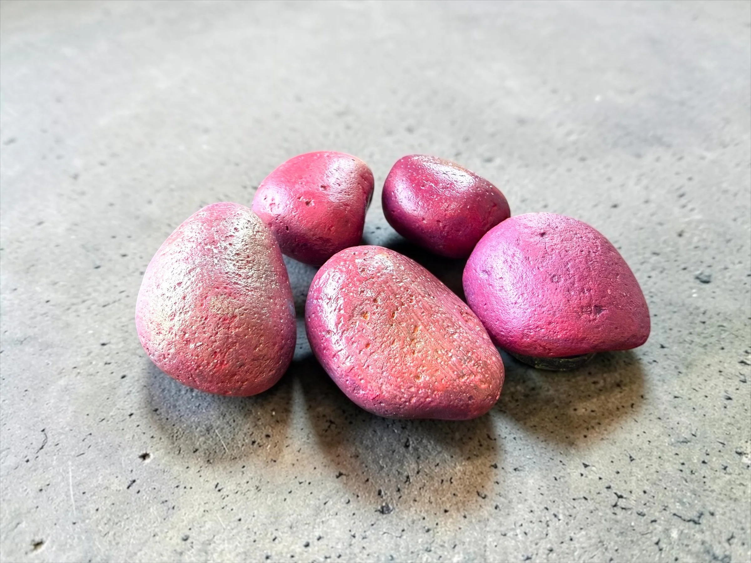 Handpainted Rock Magnet Set (6).JPG
