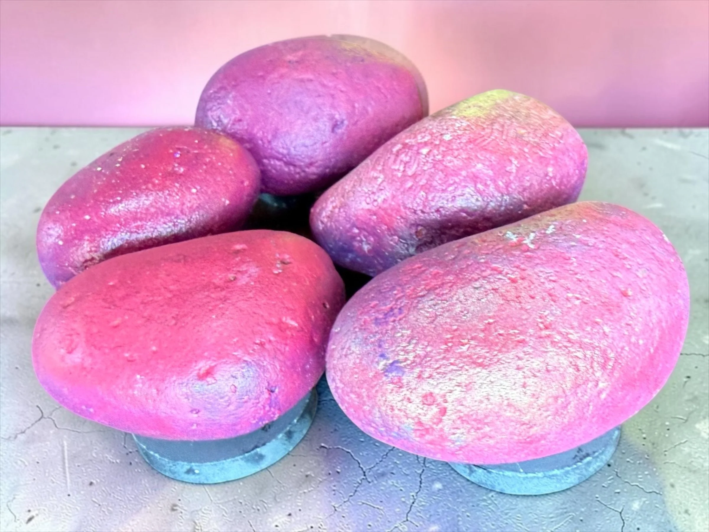 Handpainted Rock Magnet Set (1).JPG