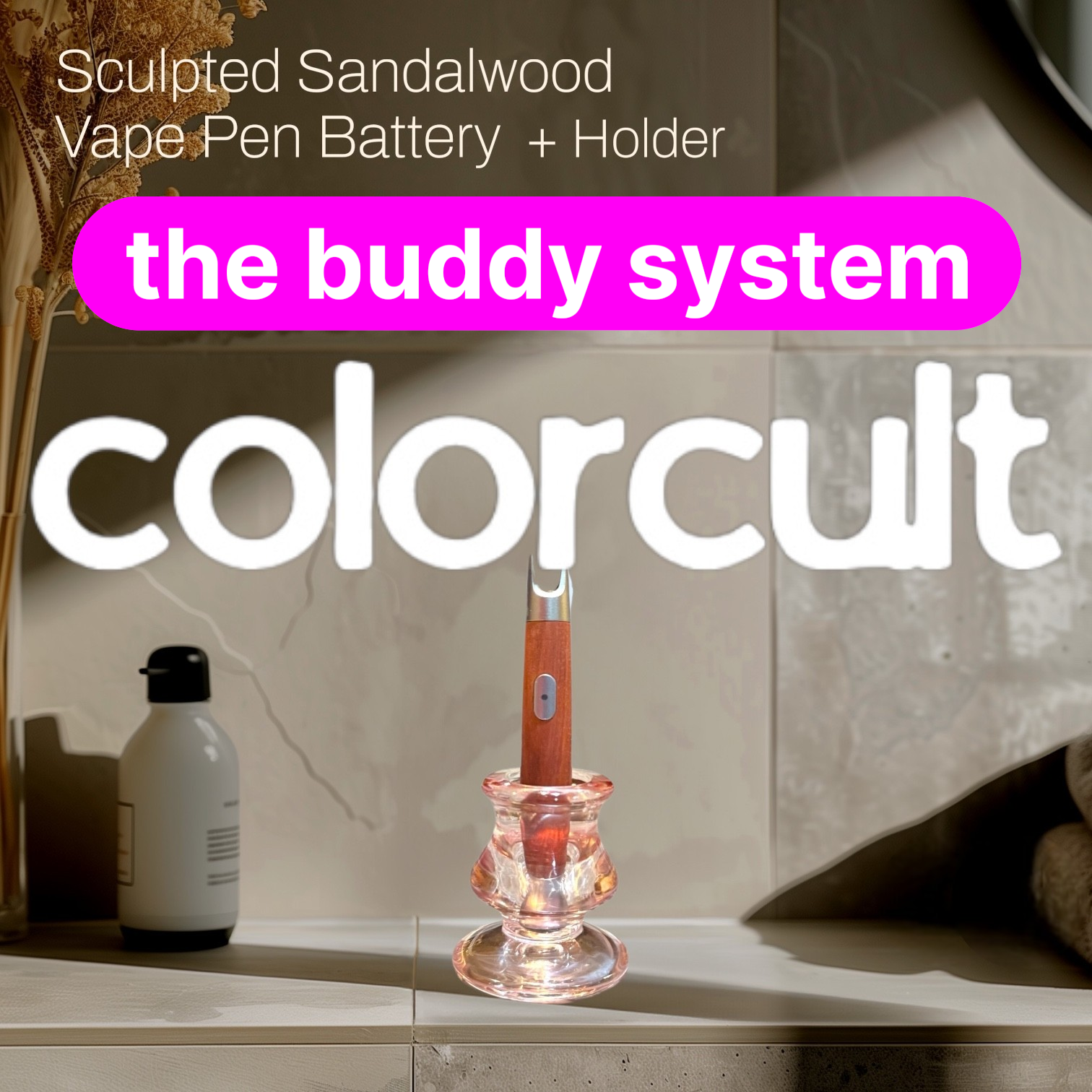 The Buddy System.png