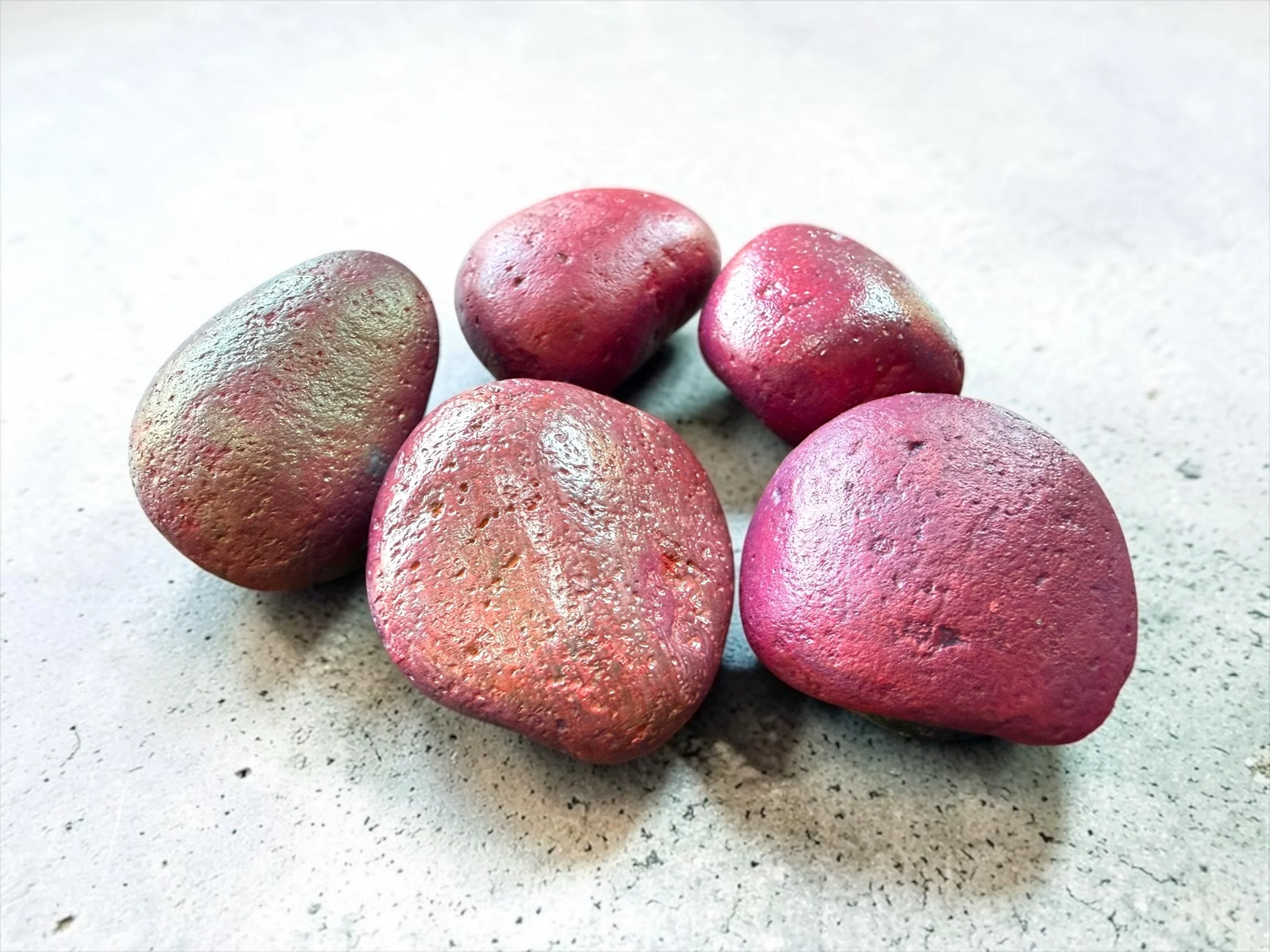 Handpainted Rock Magnet Set (5).JPG