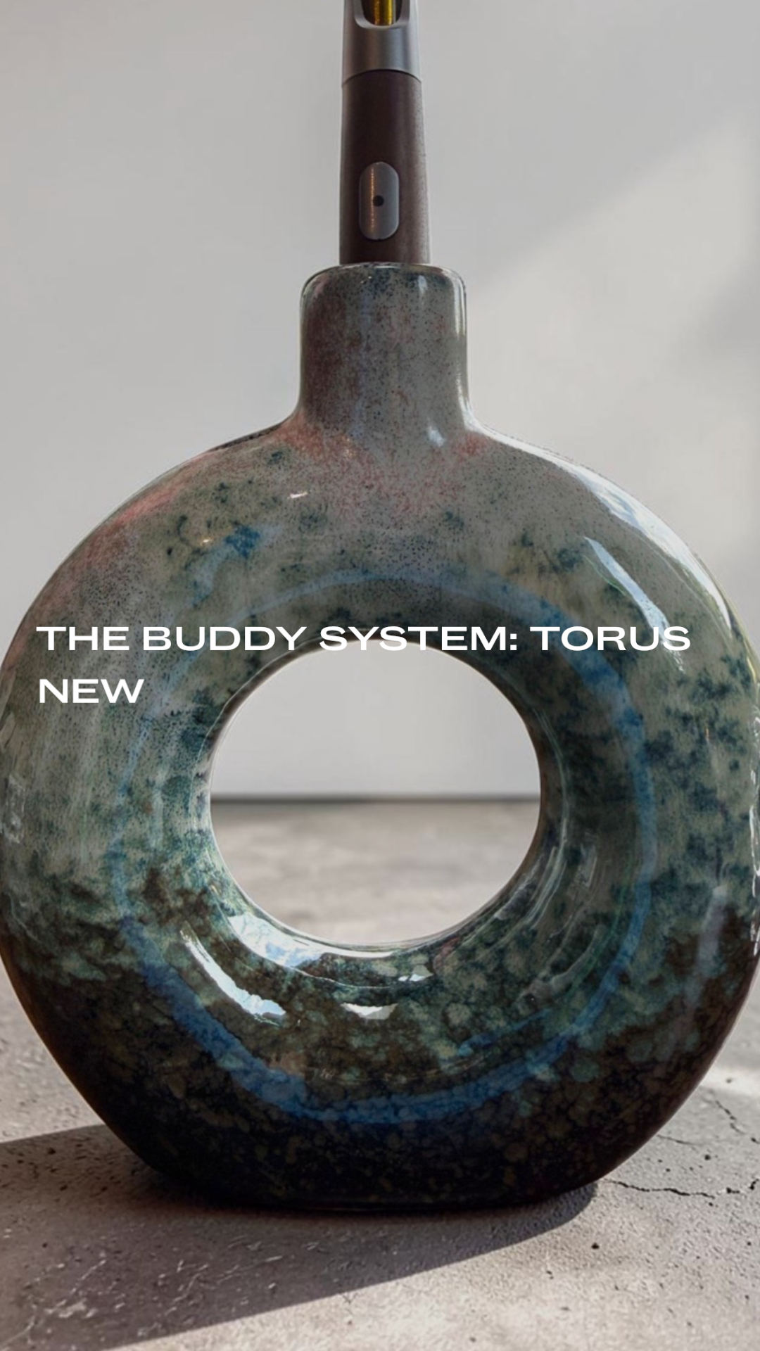 The Buddy System - Torus