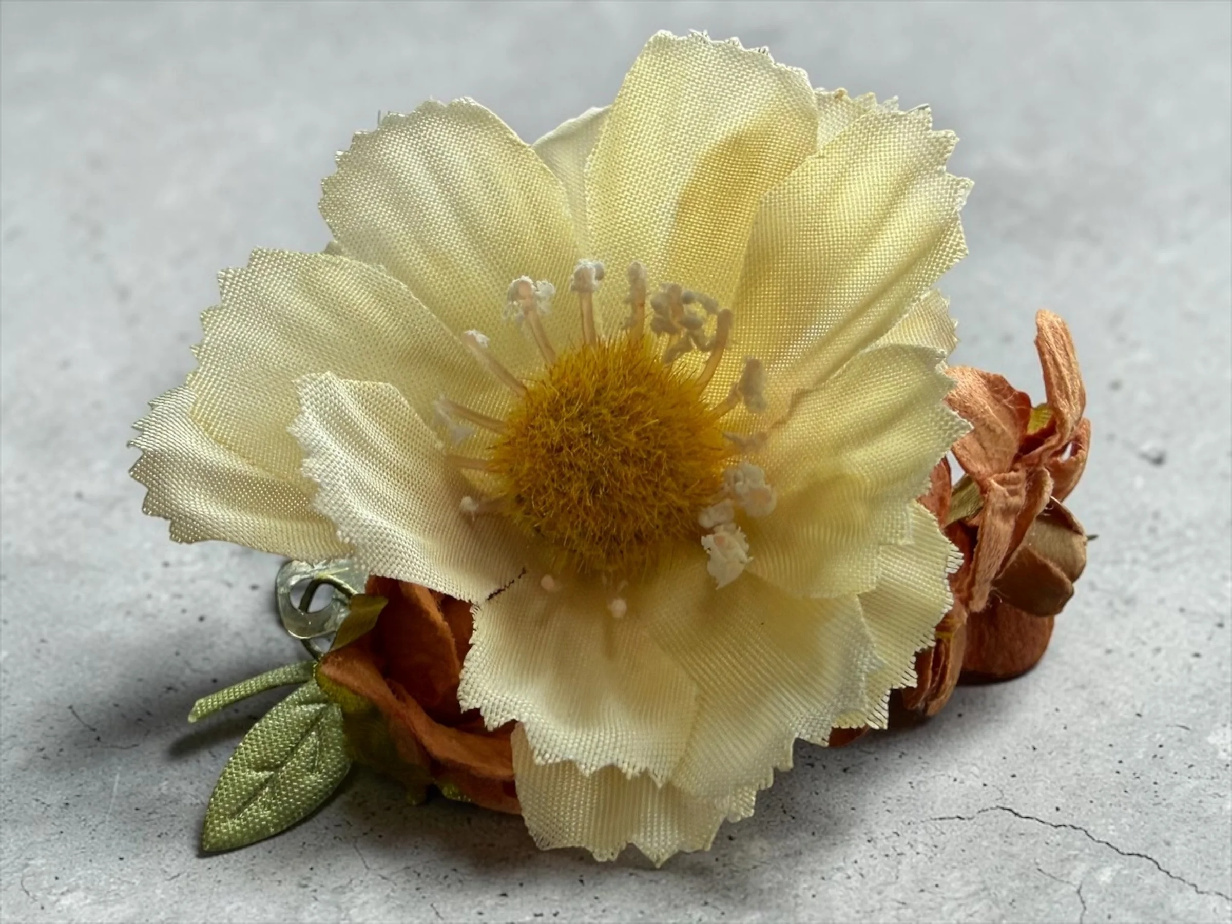 Sunny Cosmo Hair Clip (4).JPG