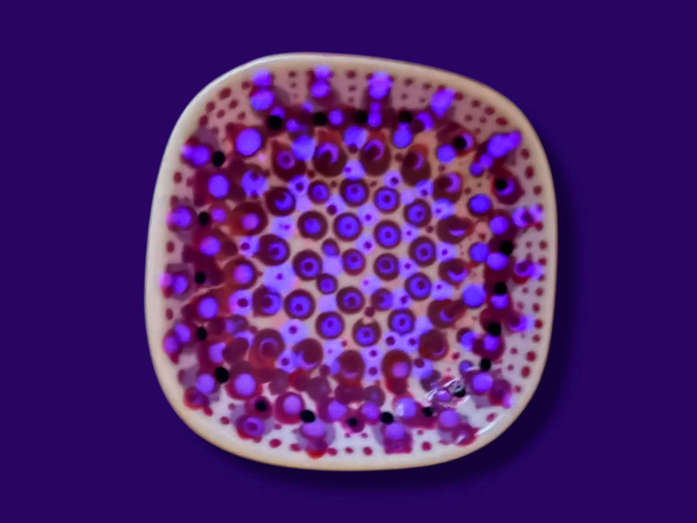 Tiny Glow Dish: Luminesce