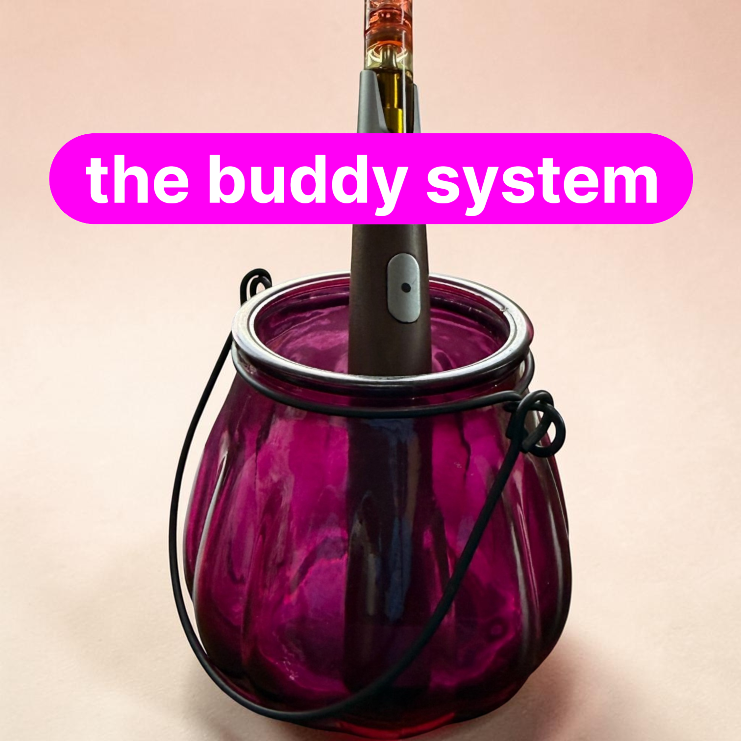 The Buddy System: Pen Battery with Burgundy Glass Holder