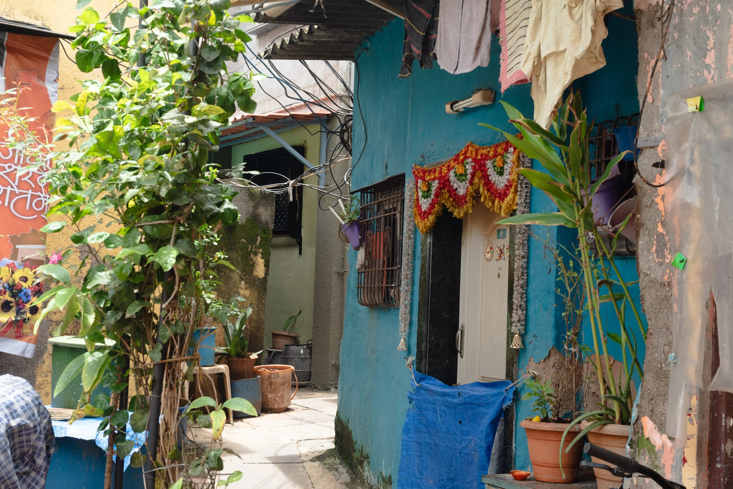 Colorful residential neighborhood with small house painted blue, decorated with flowers and plants, clothes hanging to dry, and potted plants on the sidewalk.