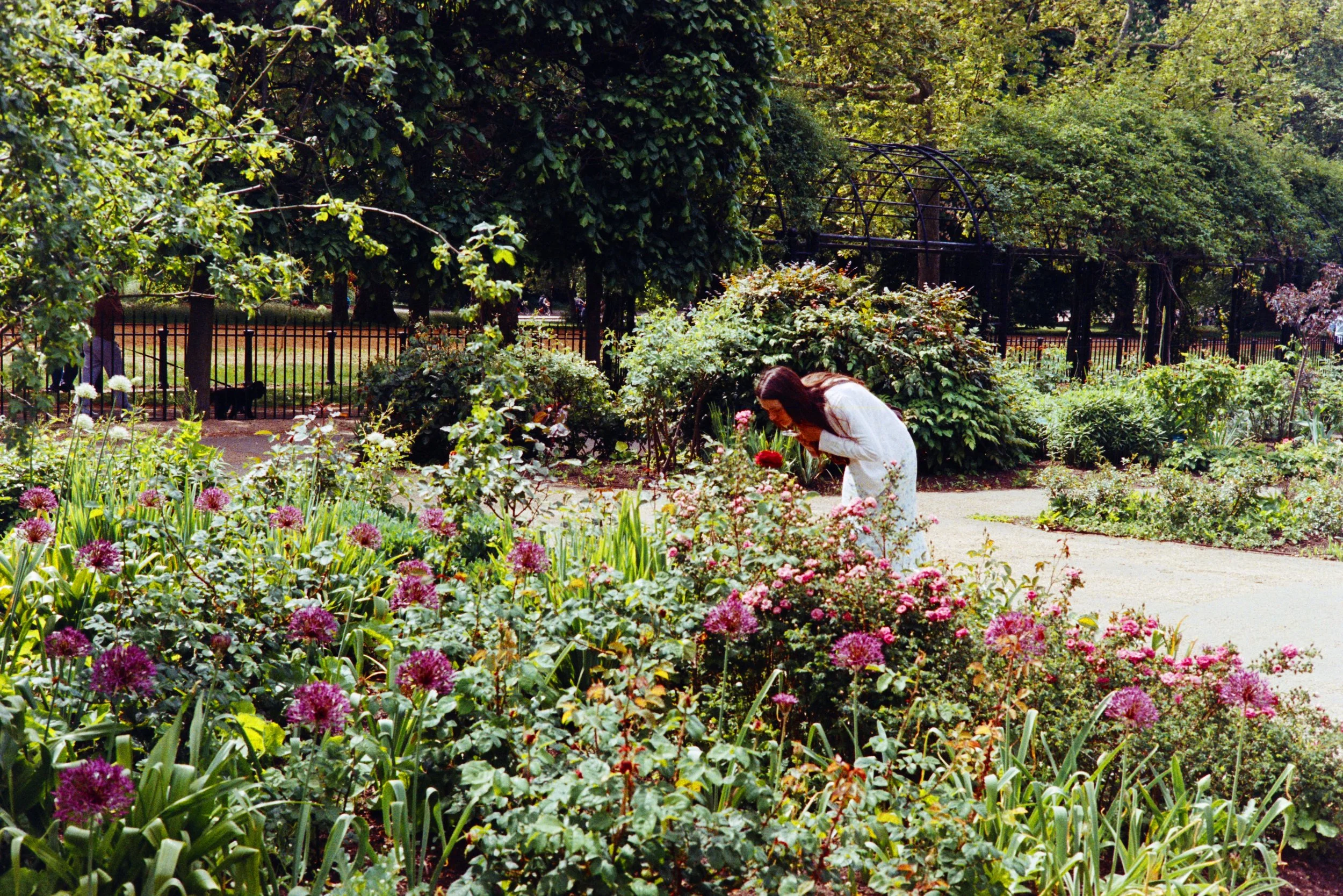 Hyde Park, London