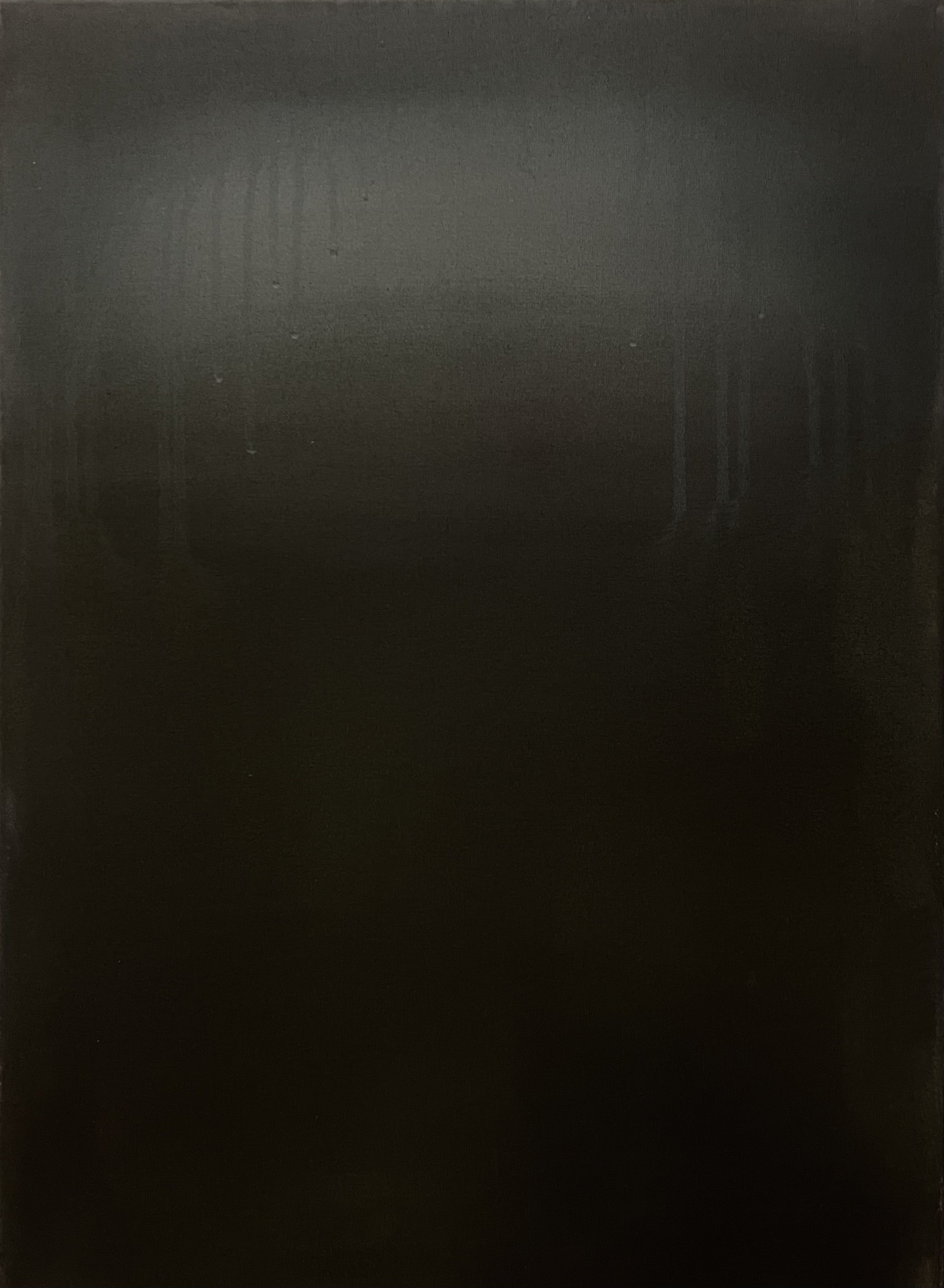 Acrylic on canvas 55 x 40