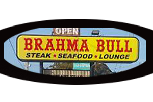 Brahma Bull