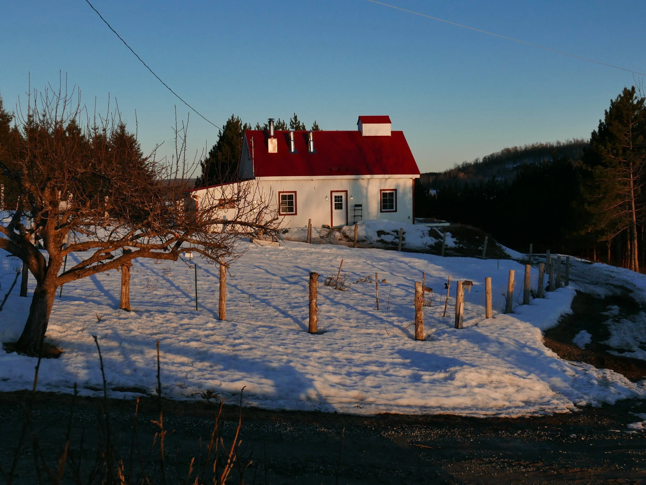 Faible production de gaz à effet de serre