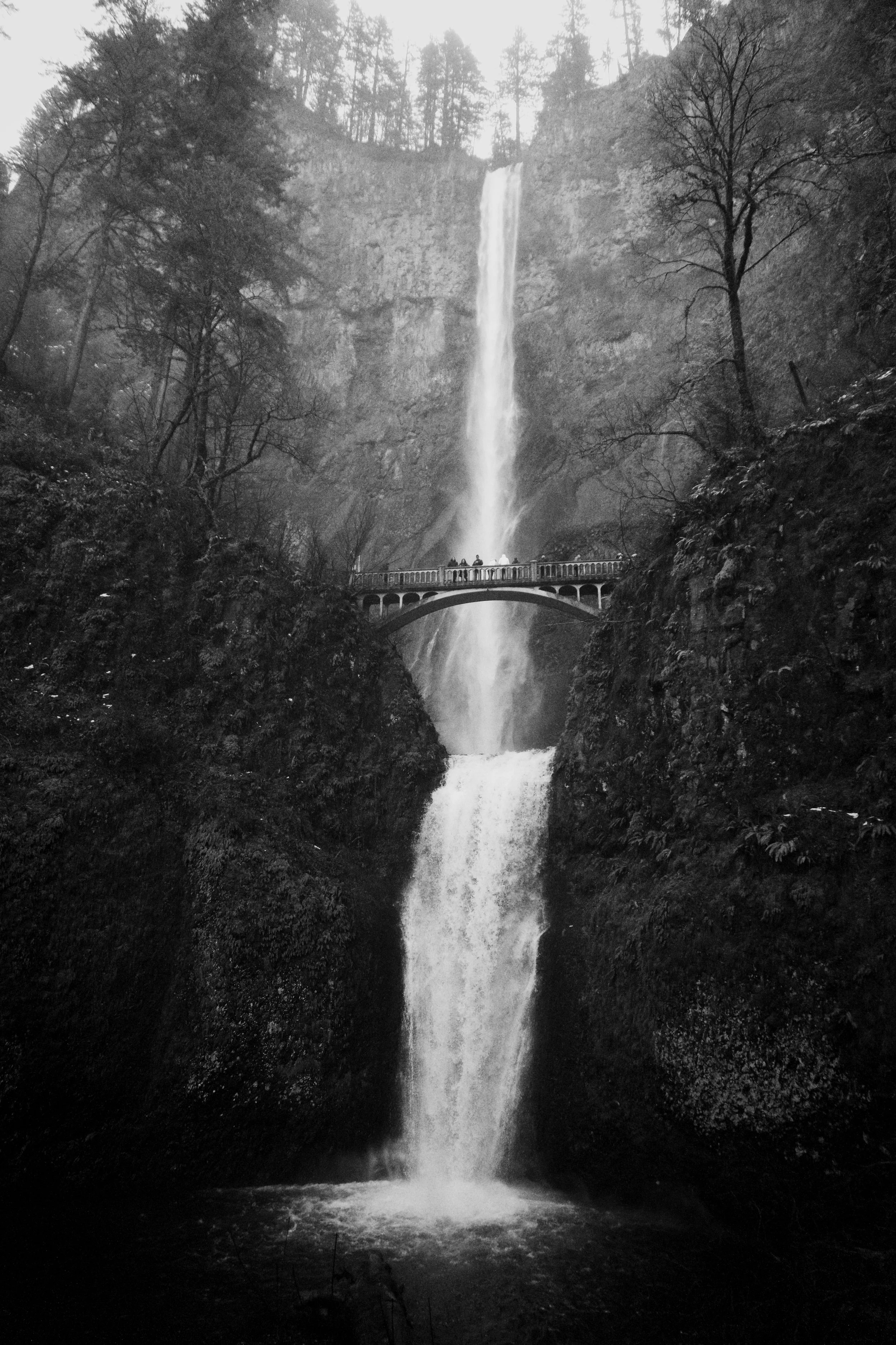 multnomah falls