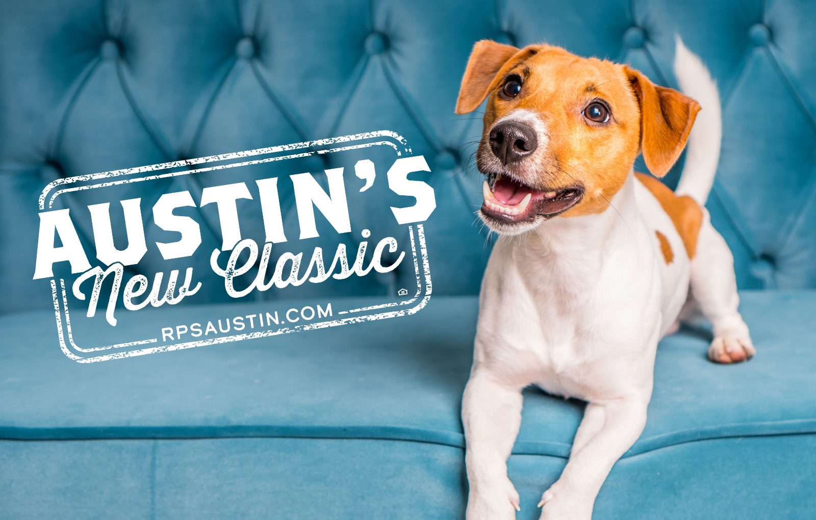 Guide to Pet-Friendly Apartments in Austin, Texas