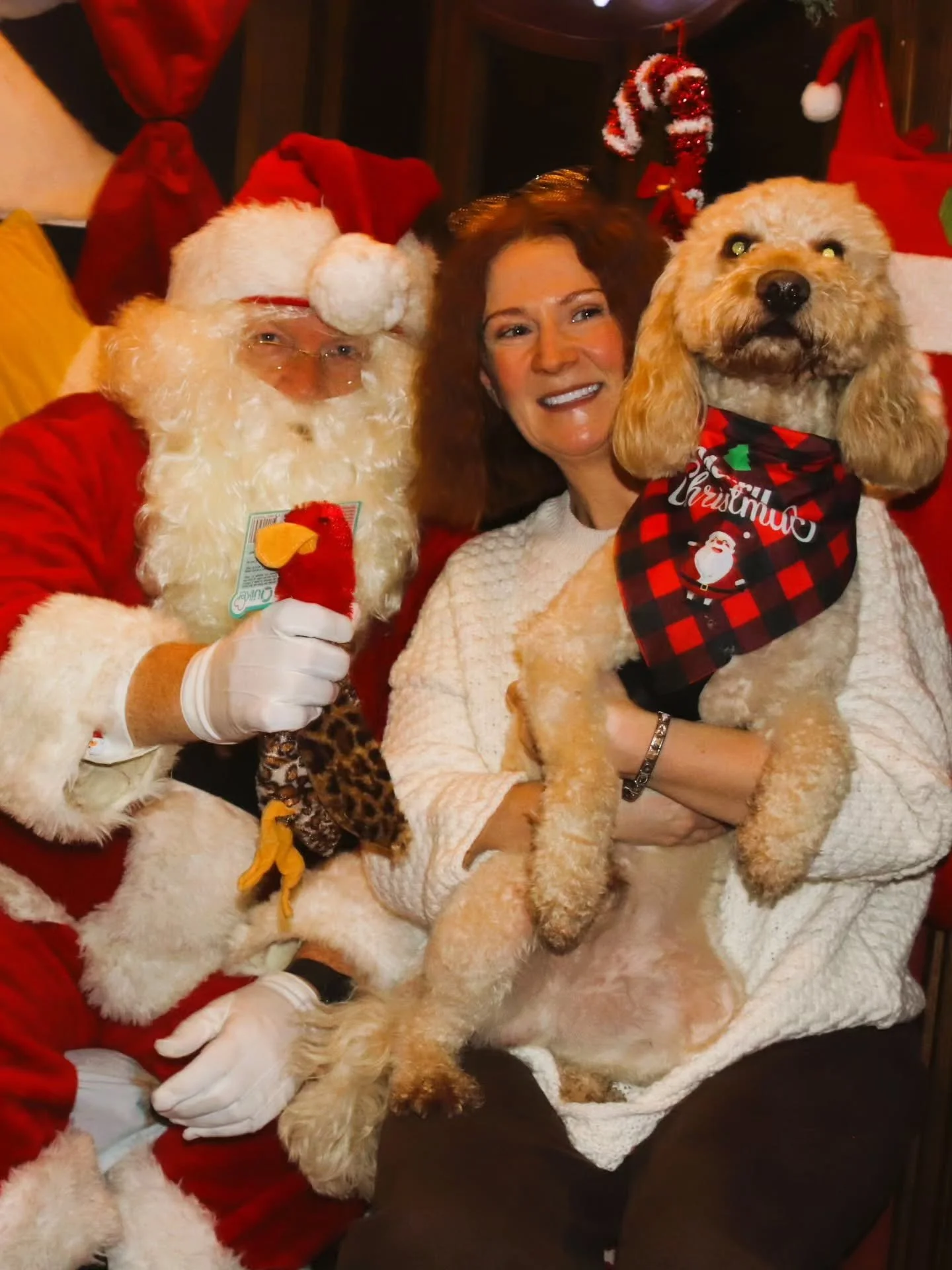 Santa had an absolutely Barktastic time yesterday with all your Pawfect pooches! 
They are definitely on the good list, they are behaved Furbulous.

The rest of the photos have been emailed, just click on the individual links and select download. 
Pl