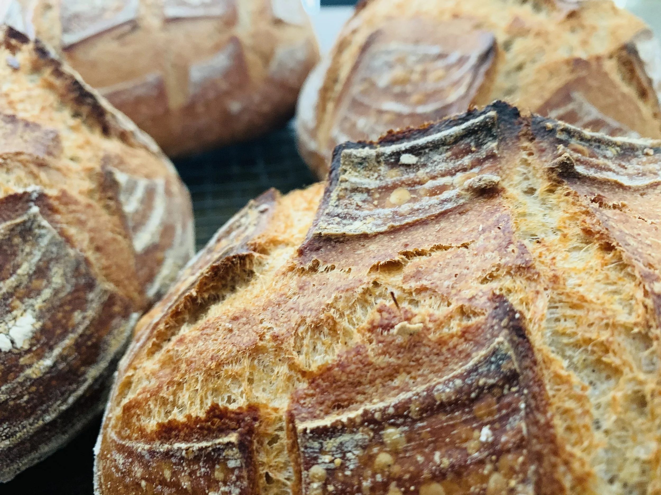 Close-up of sliced multigrain bread with a crunchy crust and textured interior.