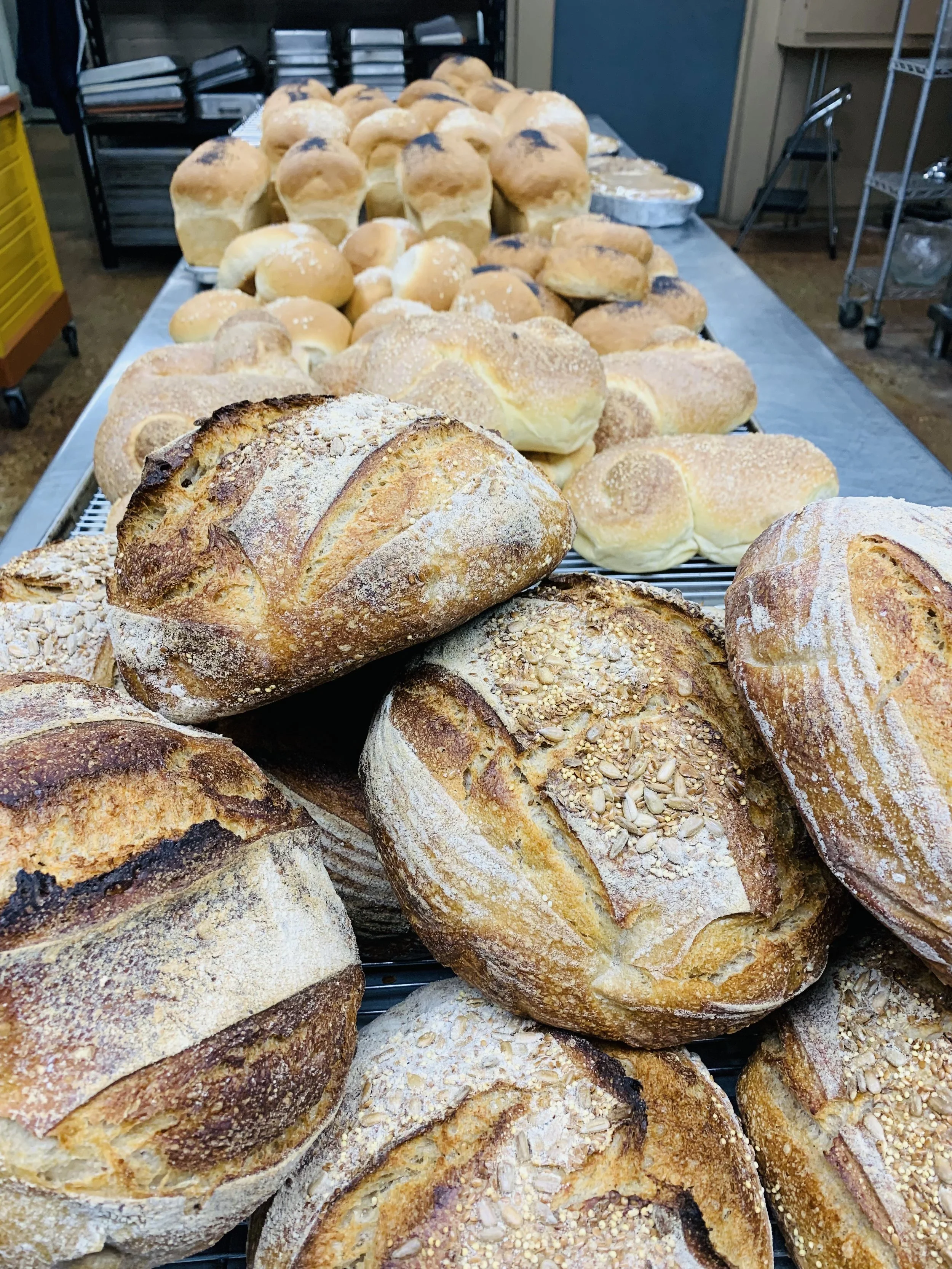 A variety of freshly baked bread loaves and rolls on display in a bakery, with different shapes, textures, and toppings such as oats and seeds.