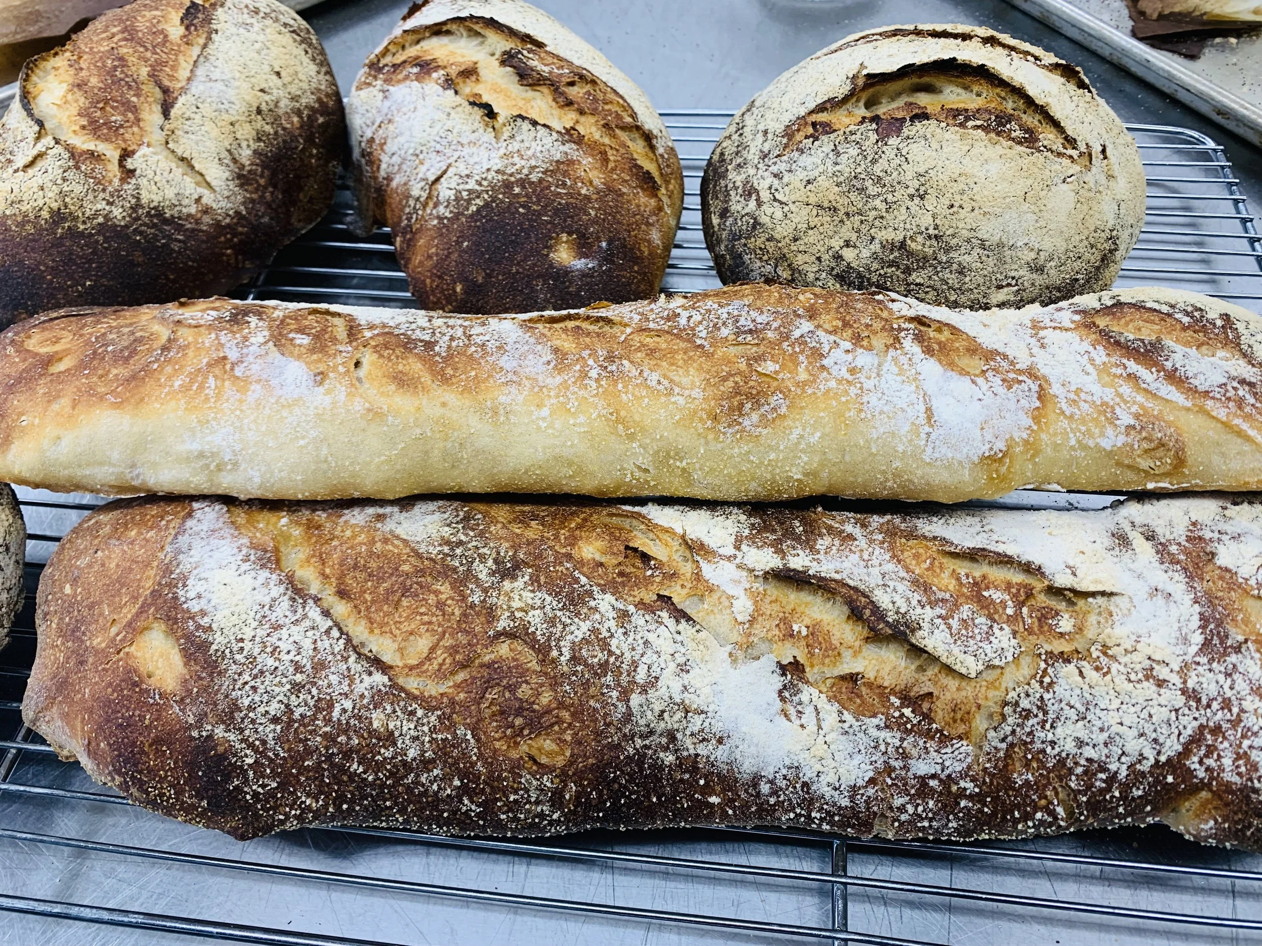 Four freshly baked, rustic loaves of bread on a cooling rack, with a crusty golden-brown exterior dusted with flour.