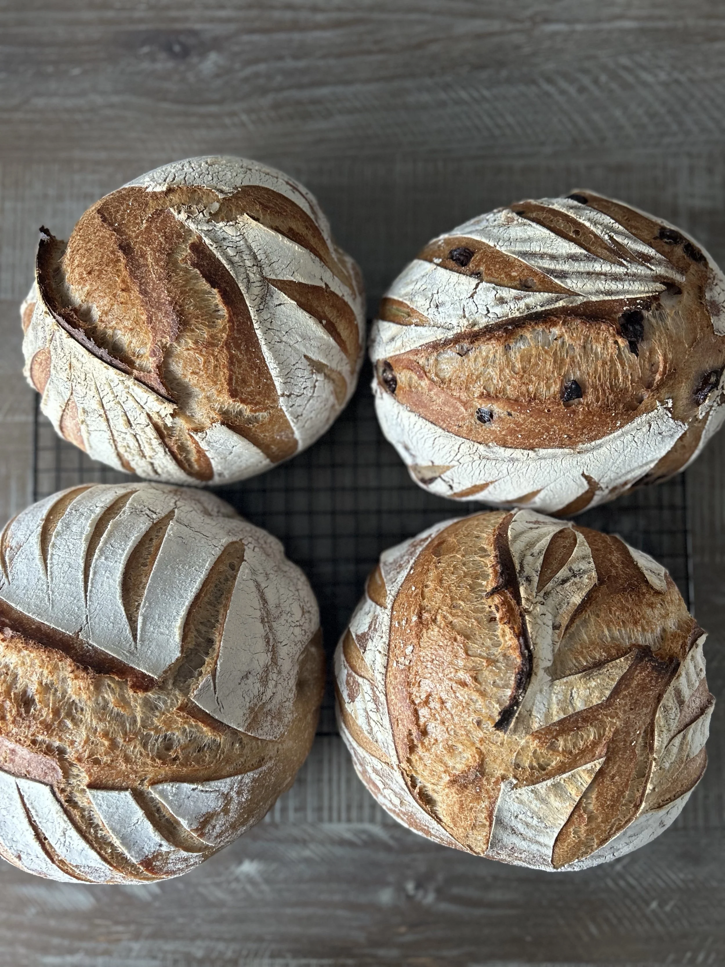 Four rustic bread rolls with scored tops resting on a wire rack on a wooden surface.