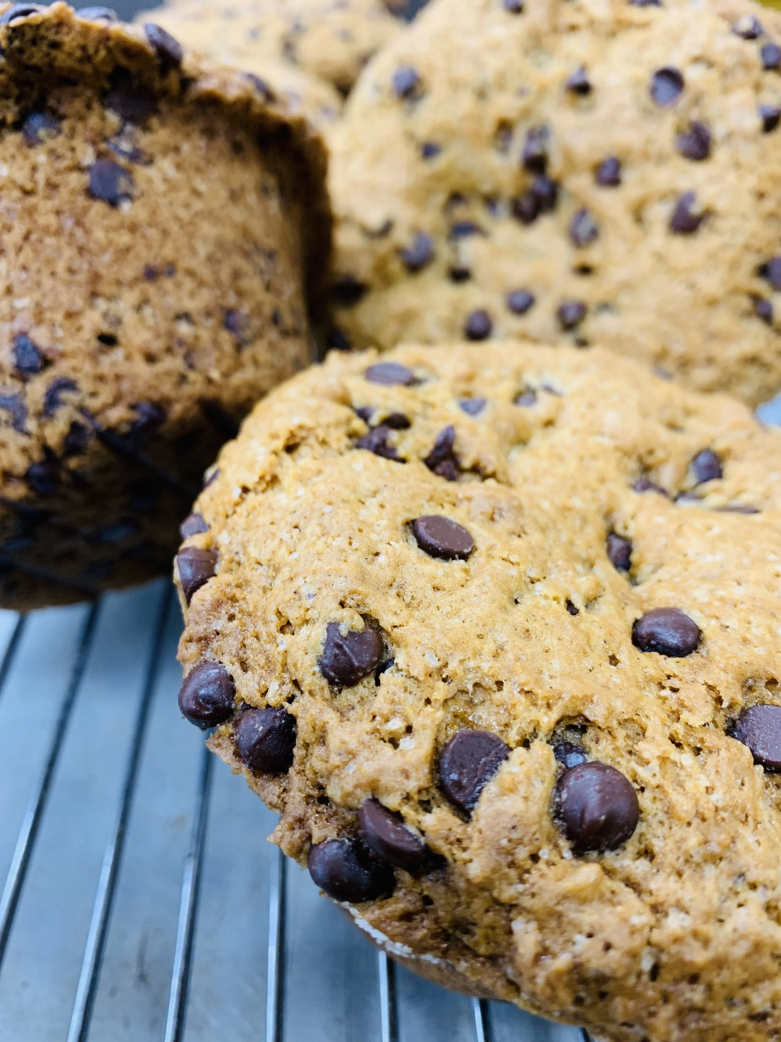 Jumbo Muffins