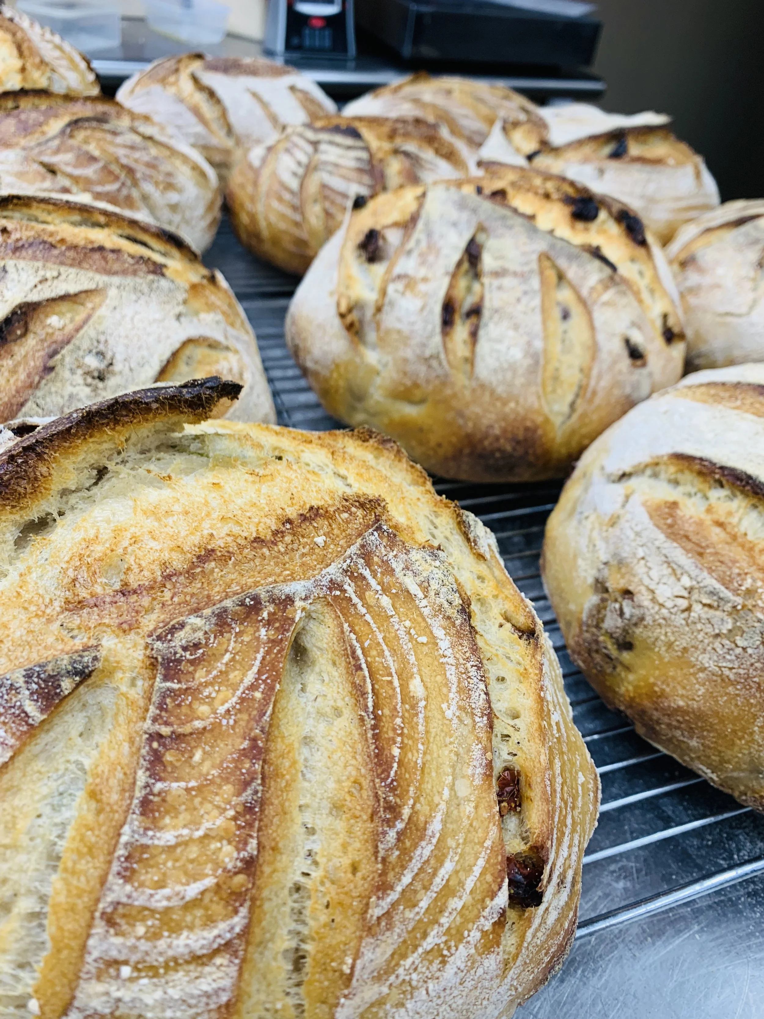 Sourdough walnut cranberry bread
