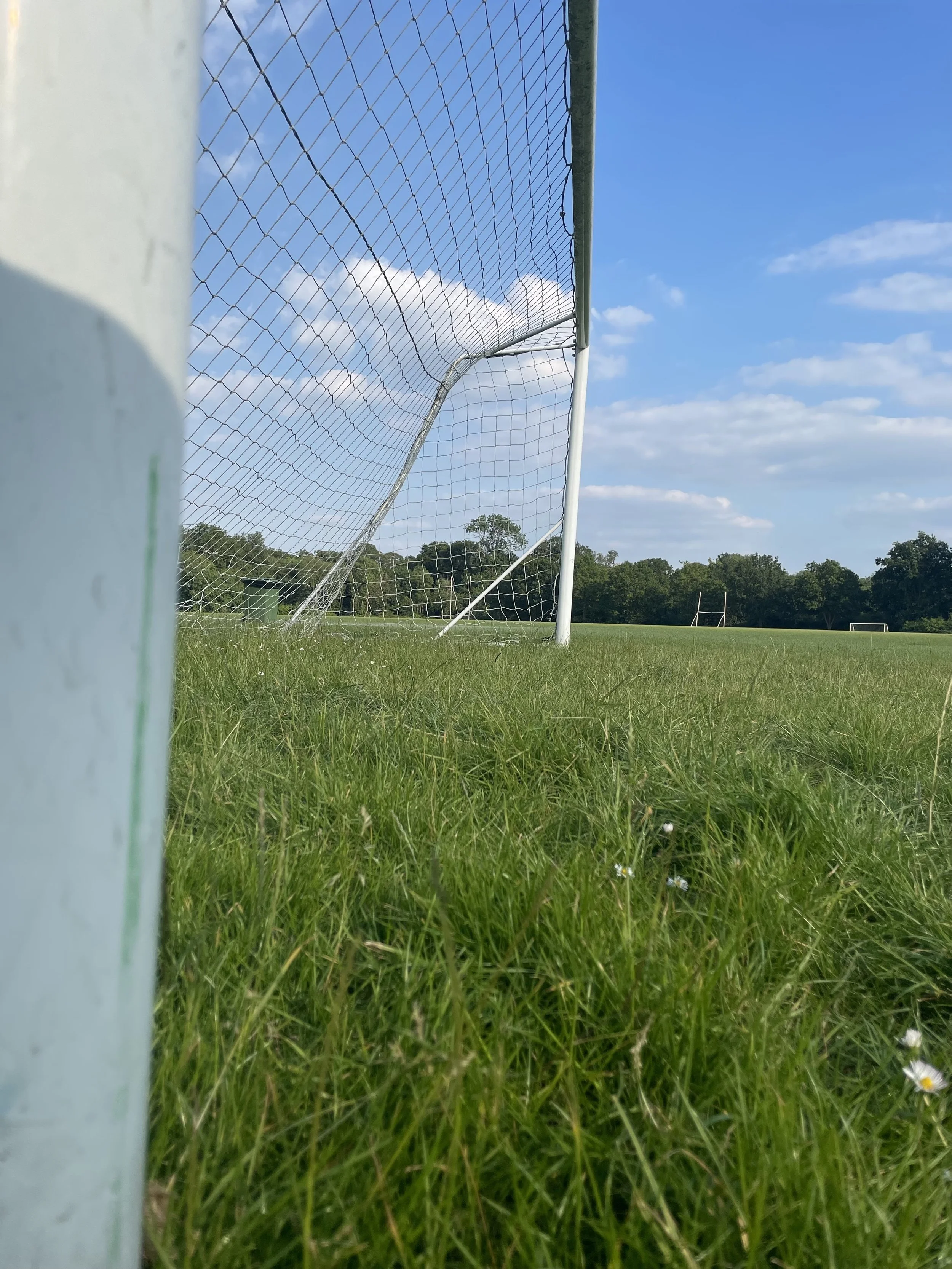 Beaumont Grass Photos 3.jpeg