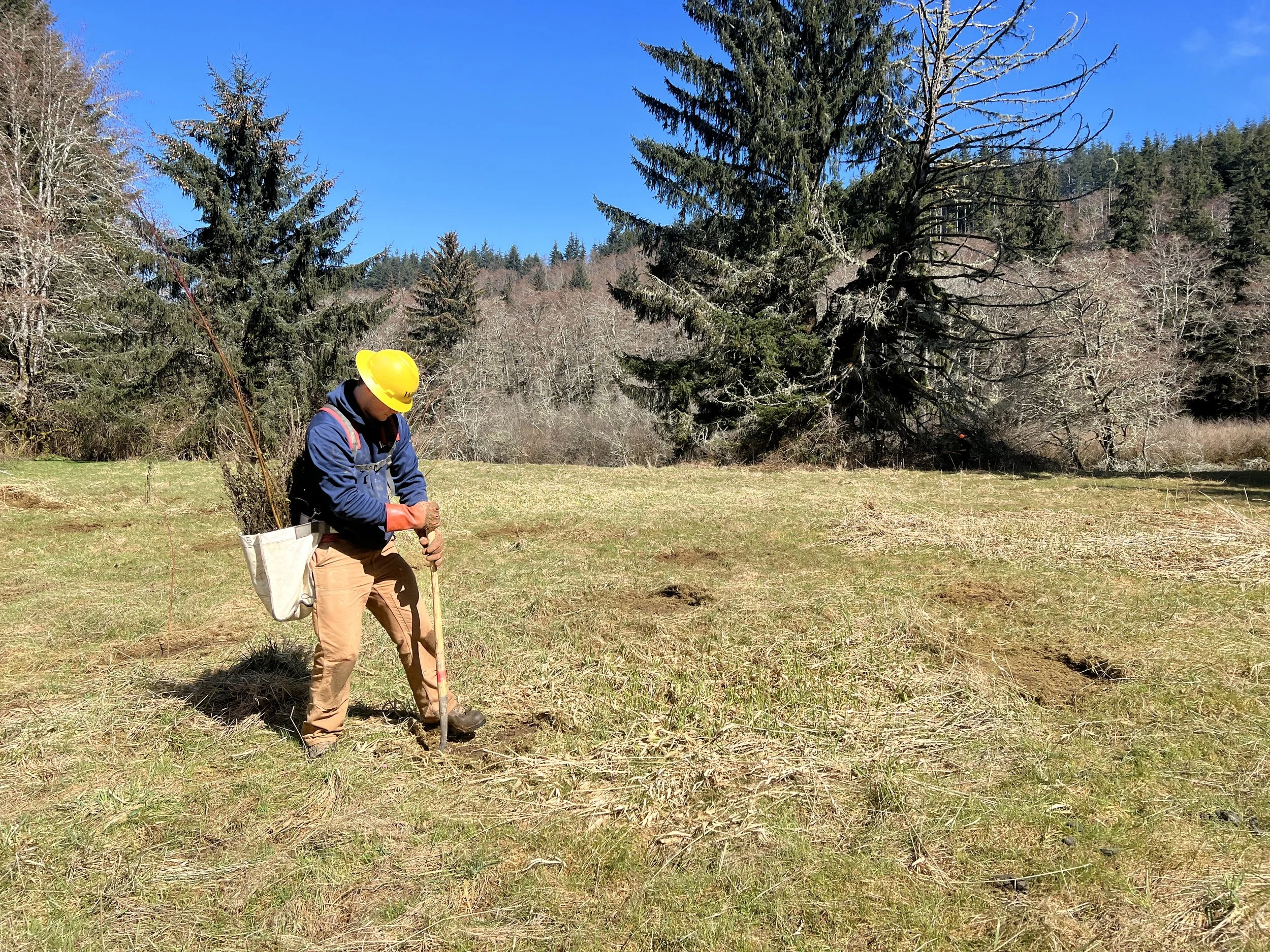 Planting for Success