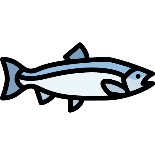 Request for Bids: Bogachiel River Tributary Fish Passage Project