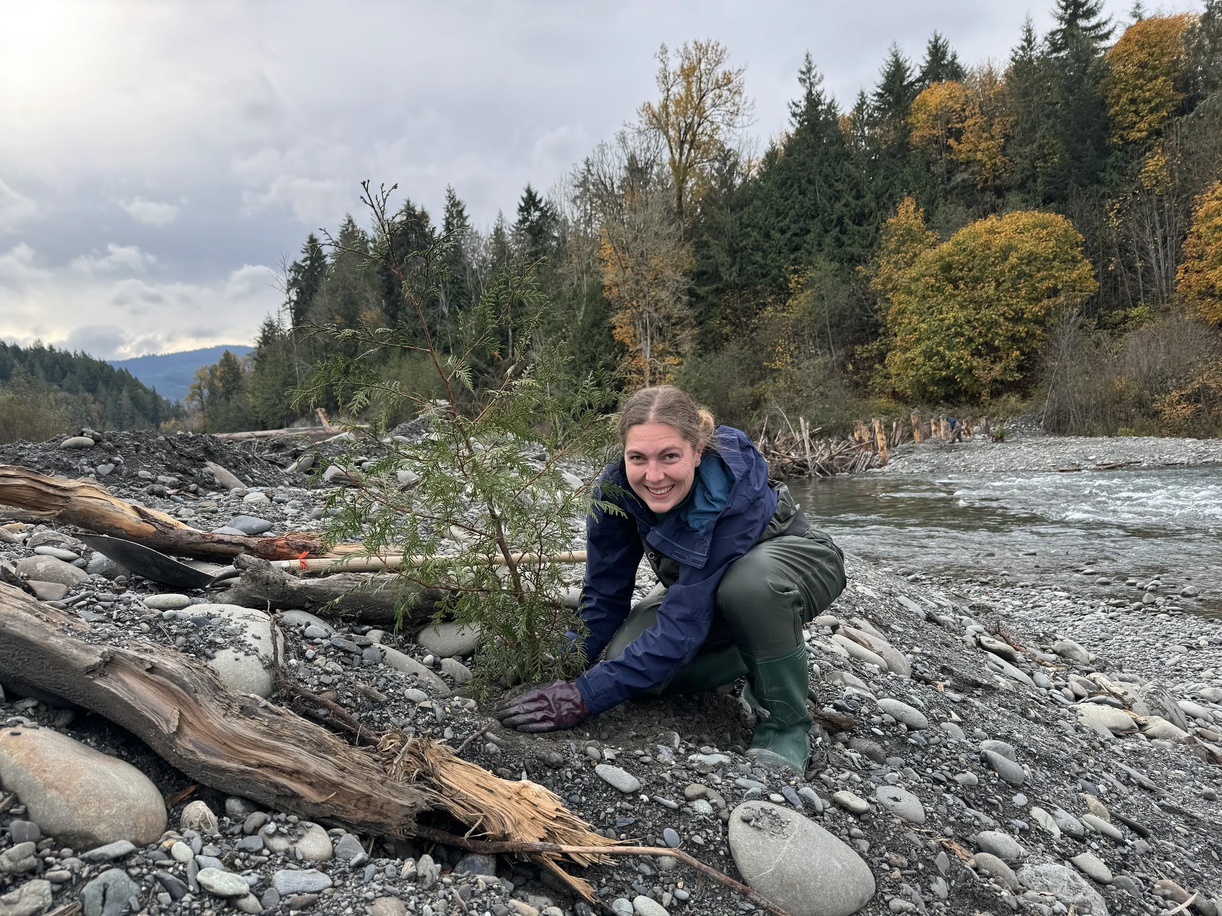 Volunteer smiling while planting a tree along the Elwhat River