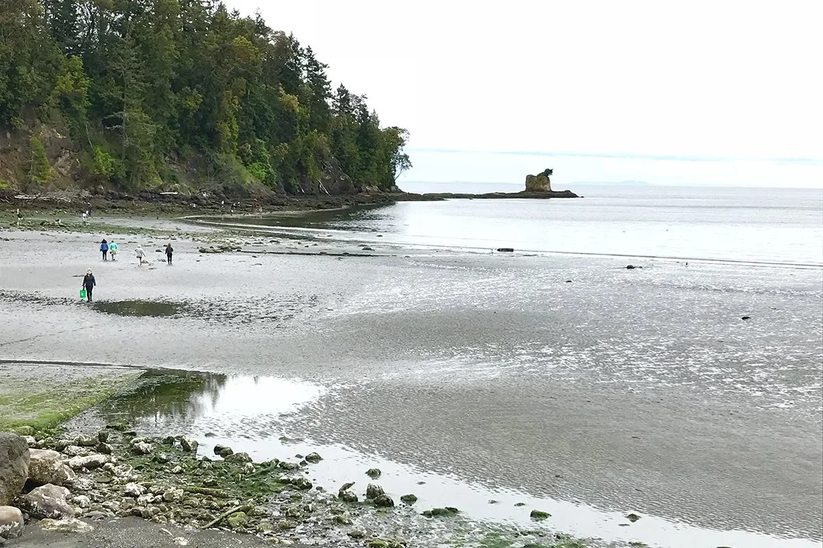 Freshwater Bay beach access