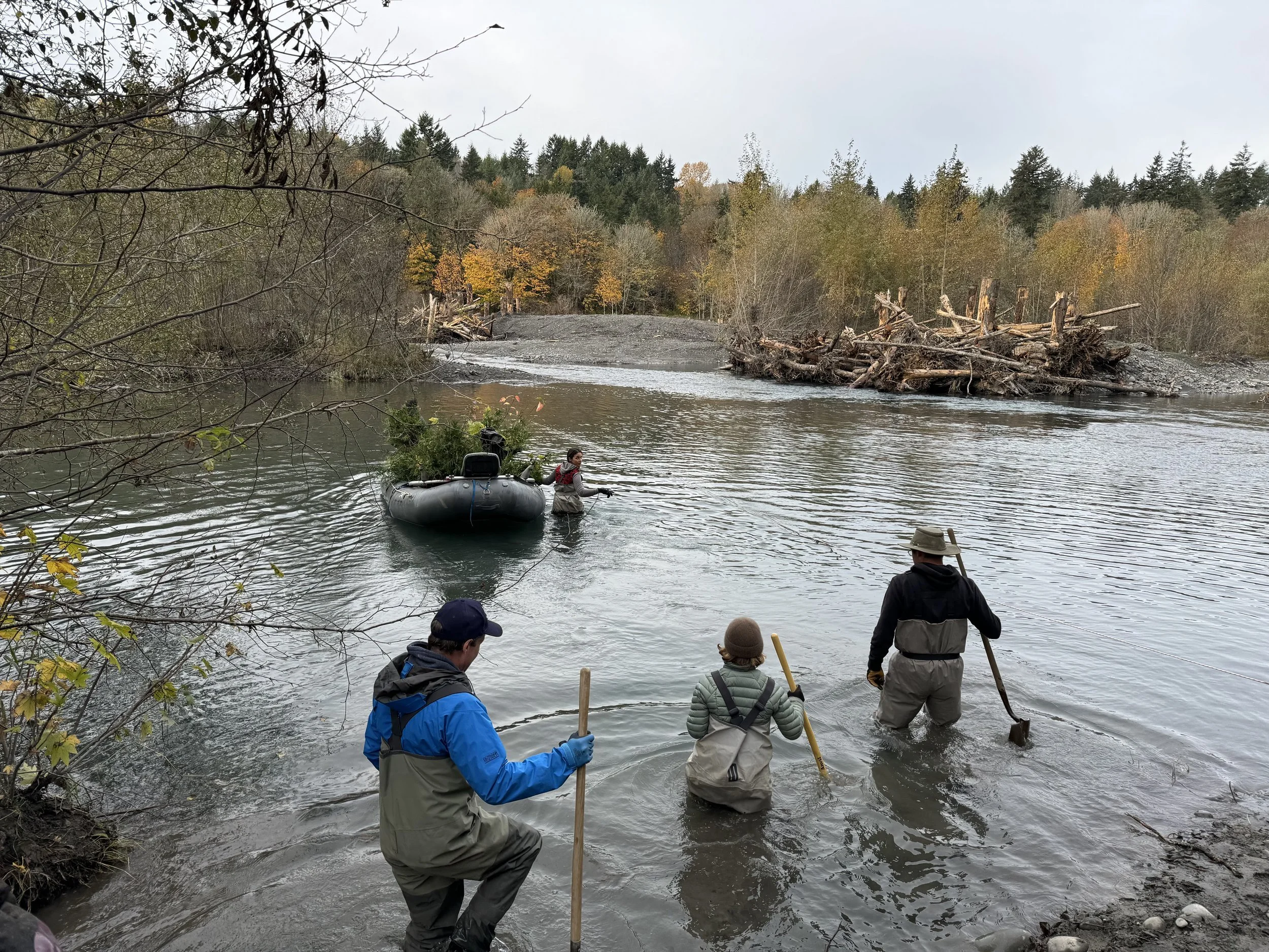 Volunteers entering the river