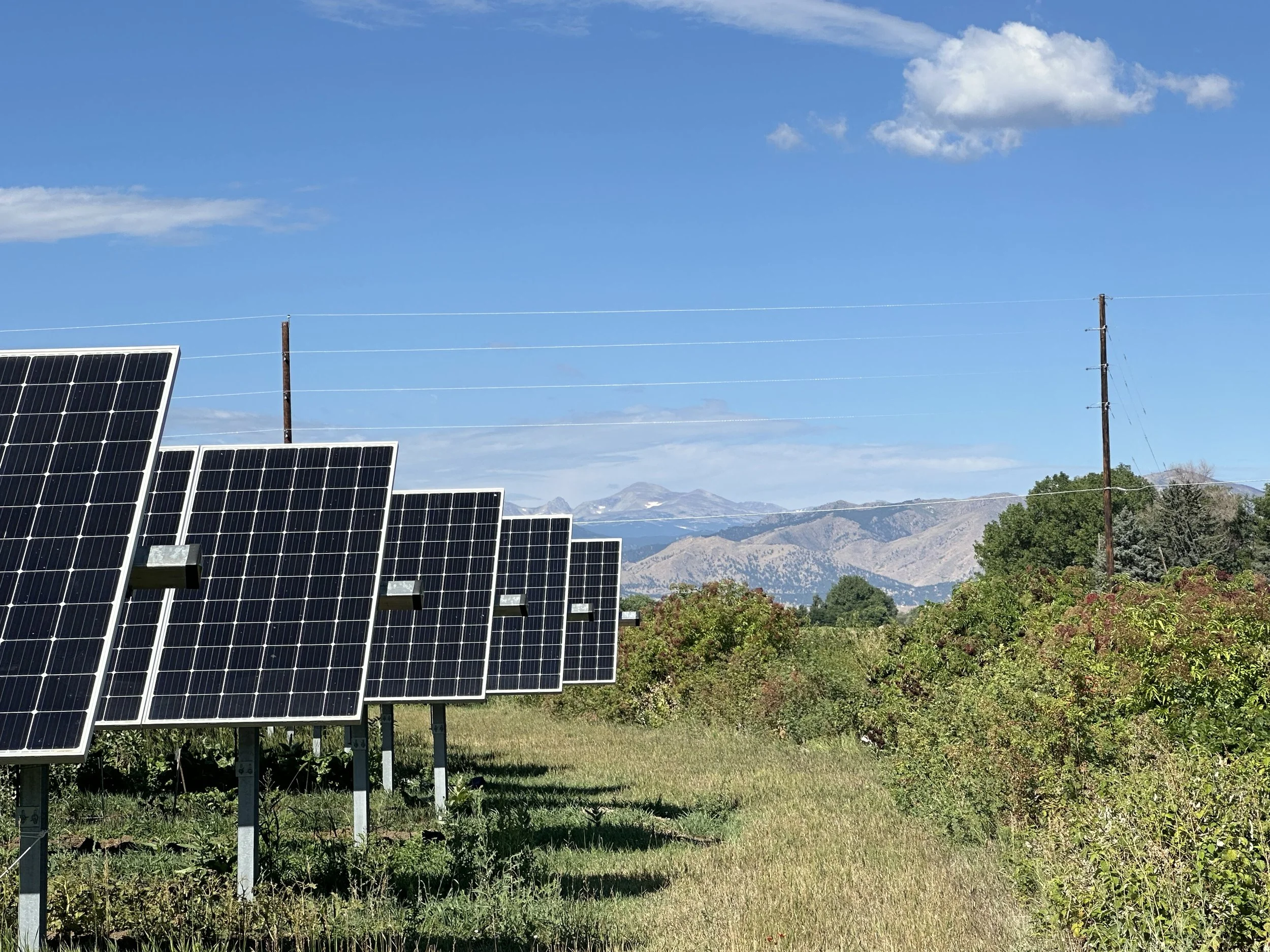 COSSA Featured in The Colorado Sun: What’s the Future for Solar in Colorado? 