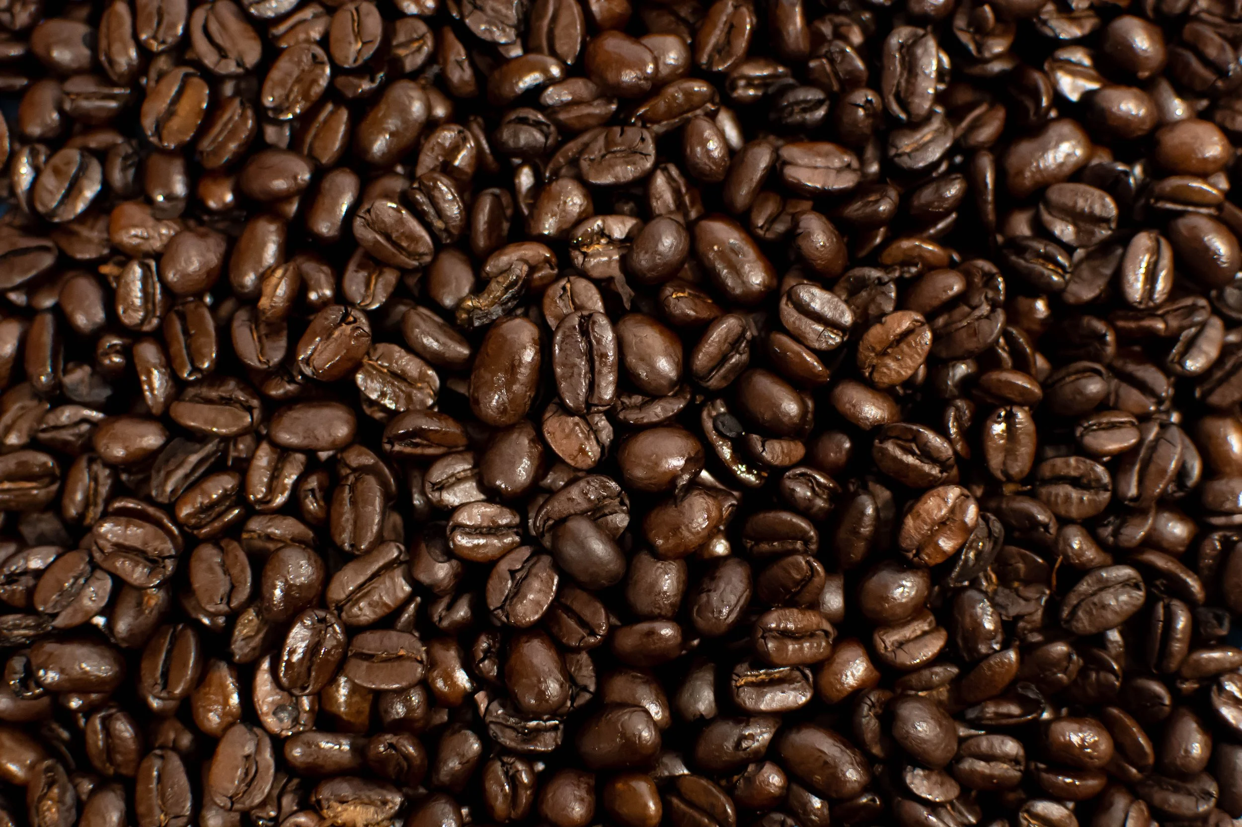 coffee beans-1.jpg