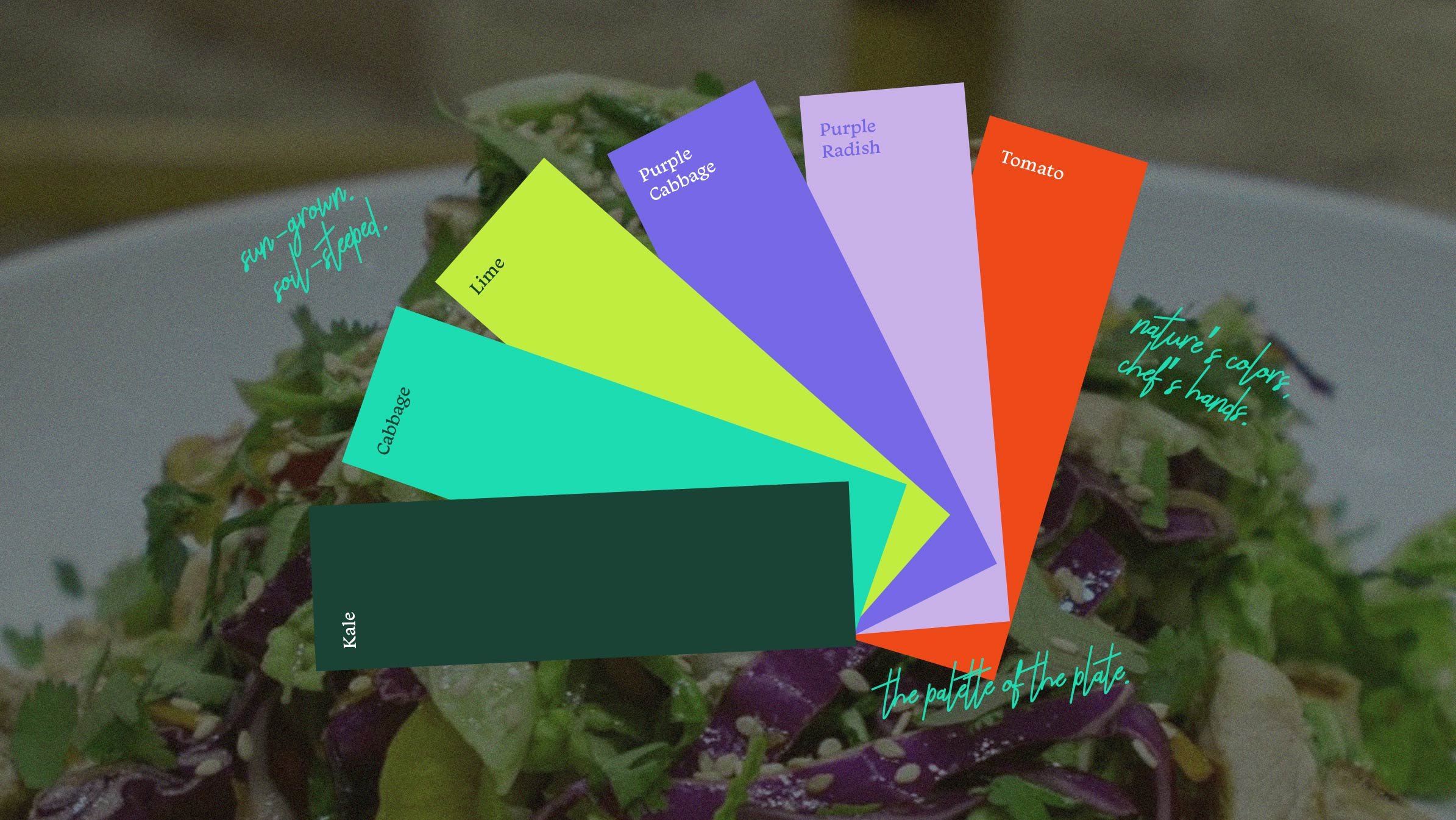 Color-pallette.jpg