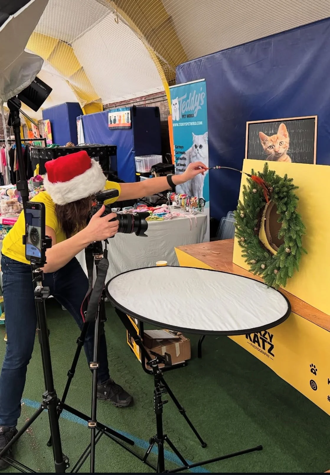 BTS with Krazykatzphoto cat show