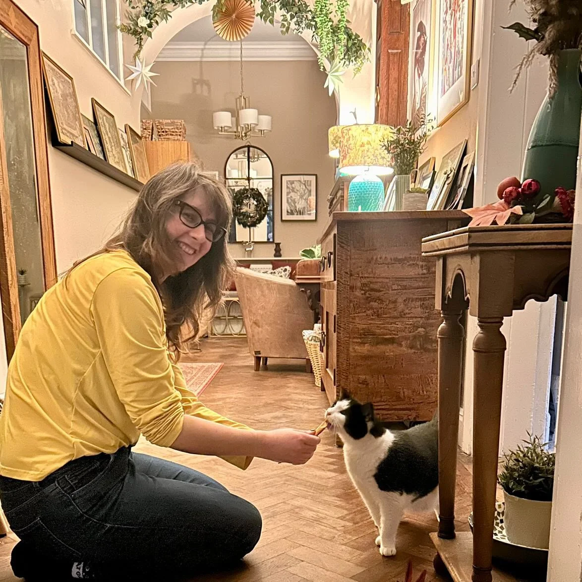 Studio vs Home: Where does your cat feel most brave?