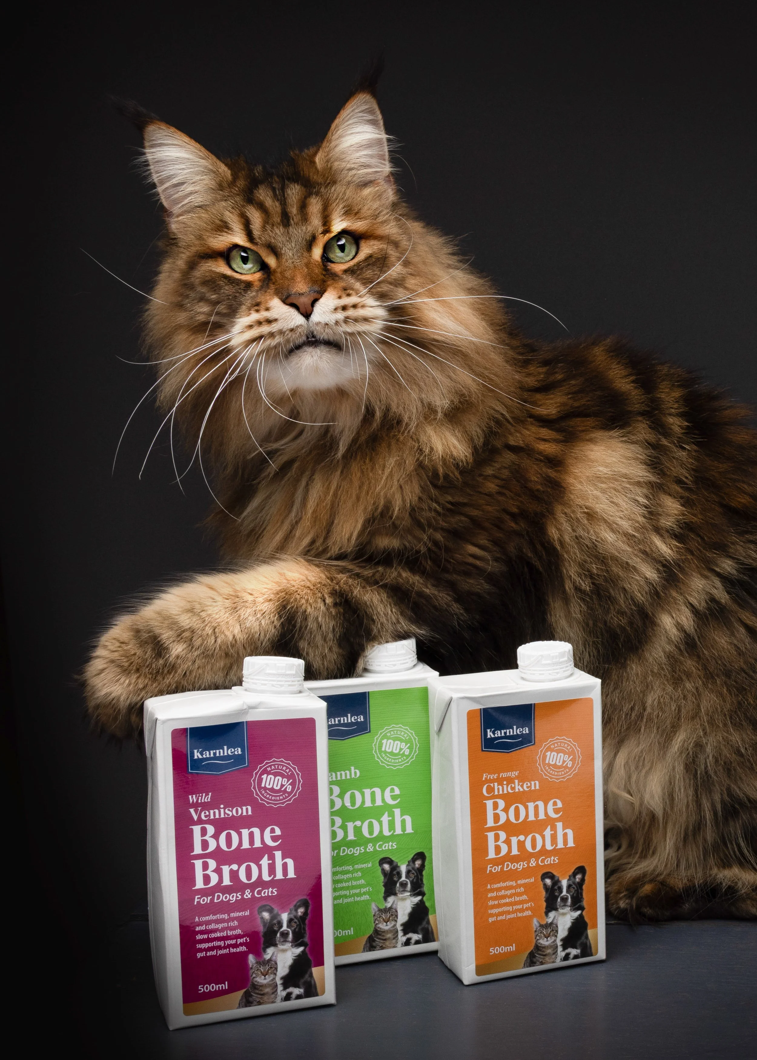 Maine coon with Karnleaproduct
