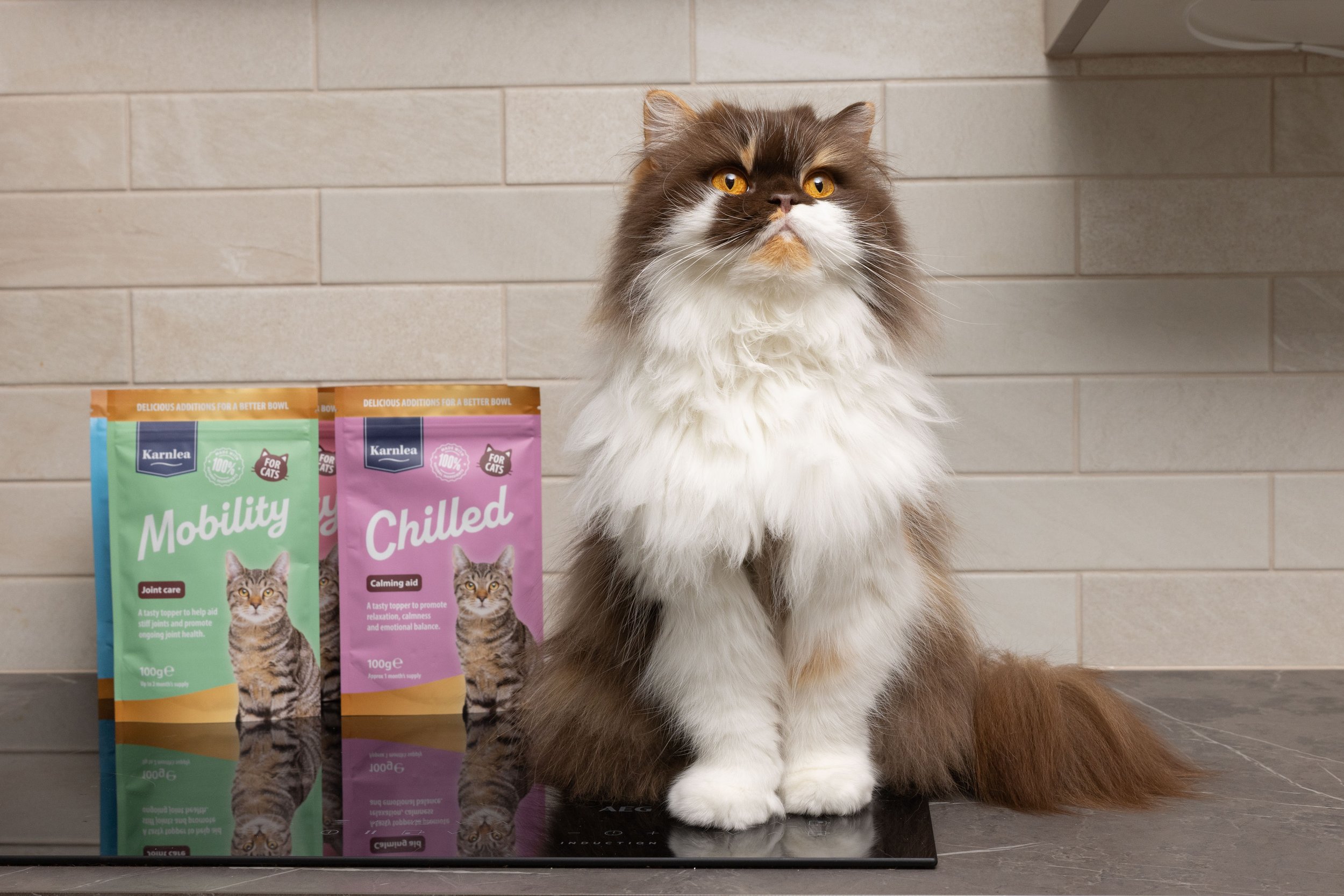 Cute cat posing with karnlea product