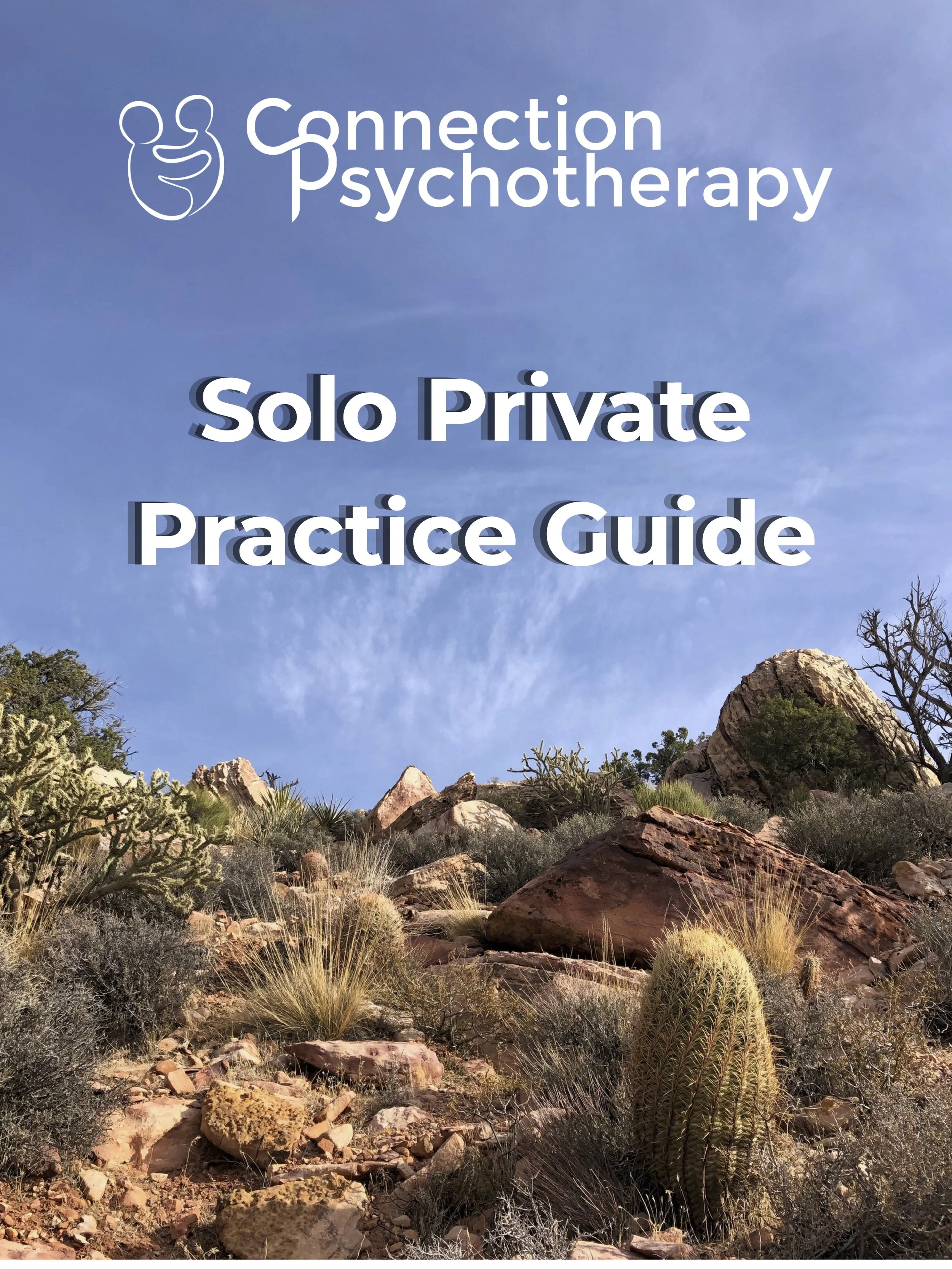 Solo Private Practice Guide COVER.jpg