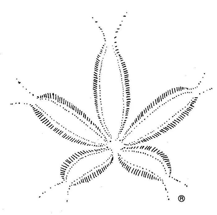 Official Sand Dollar logo of the Society of Ortho-Bionomy International (SOBI), symbolizing professional certification in gentle somatic therapy.