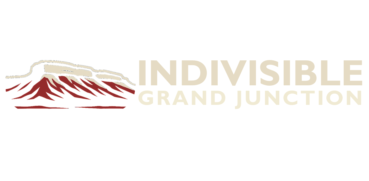 Resistance &amp; Snacks (Indivisible GJ Public Meeting)