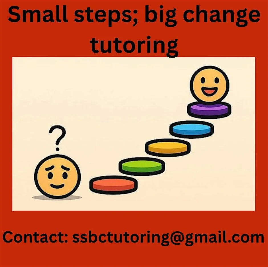 Small Steps; Big Change Launch and information