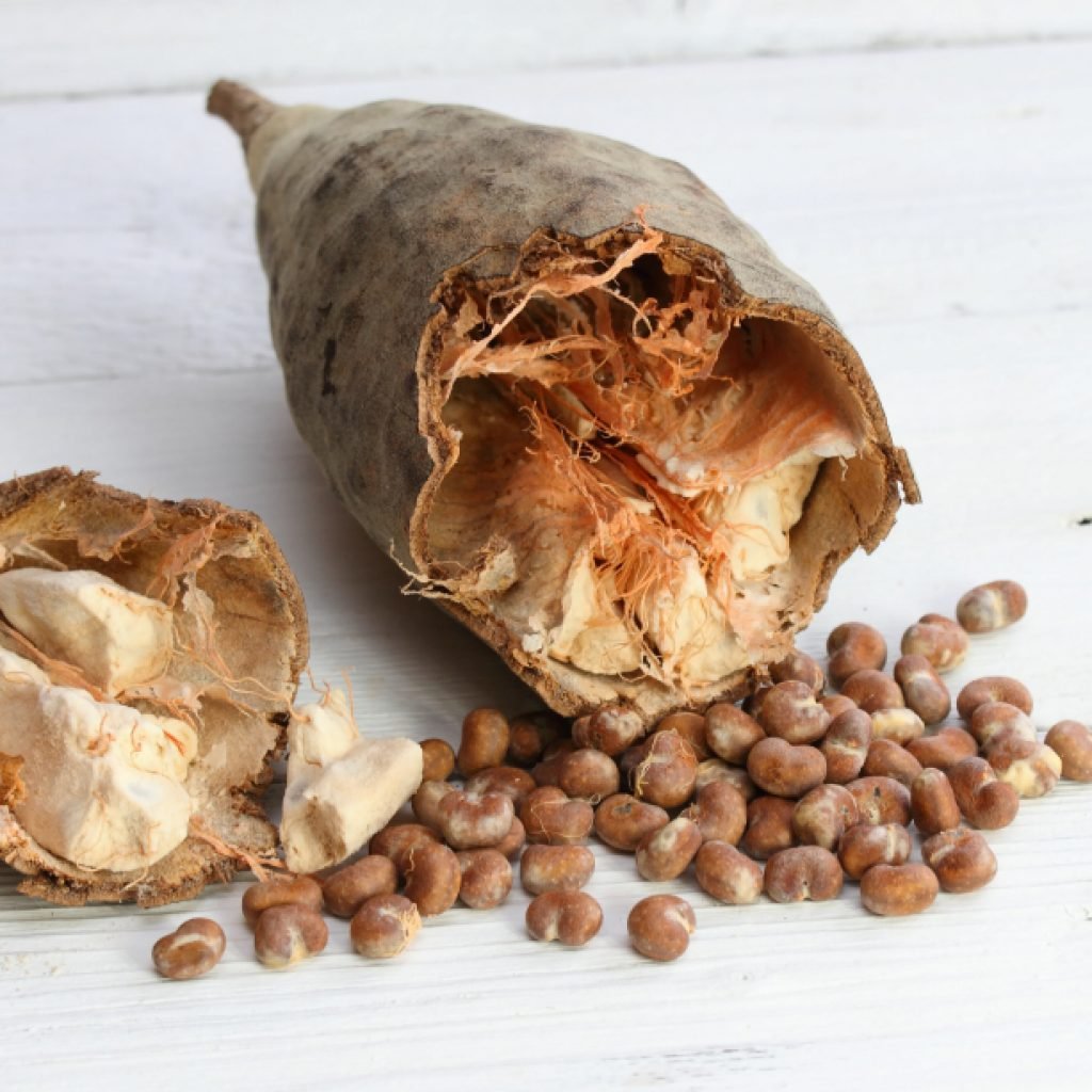 Een yuca wortel op een witte houten achtergrond, met enkele kleine peulen ernaast.