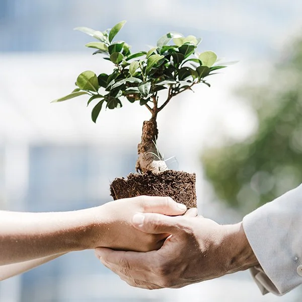 _0002_man-and-boy-holding-bonsai-tree-2024-09-13-21-17-27-utc.jpg