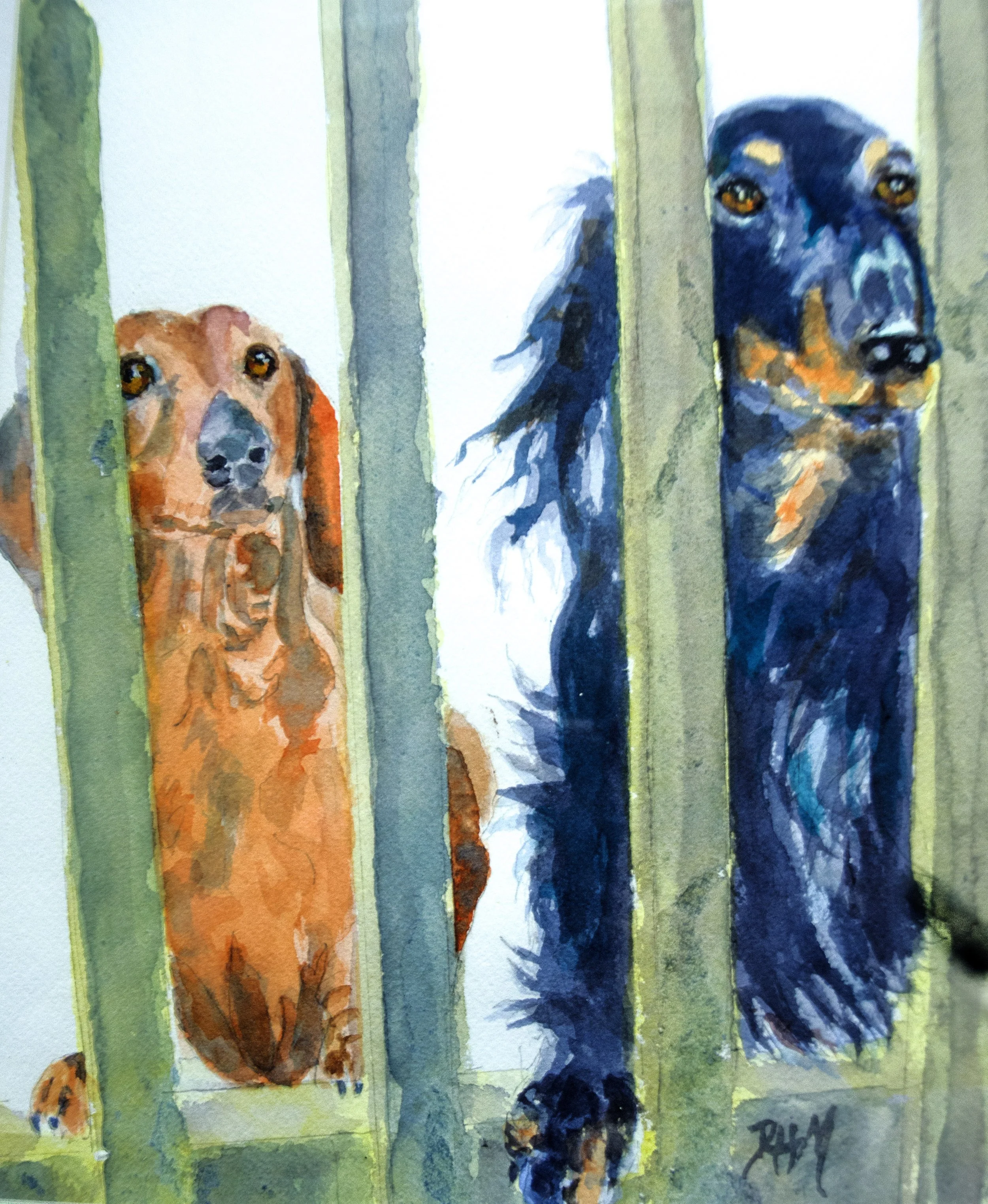 Murray_Behind Bars_150.jpg