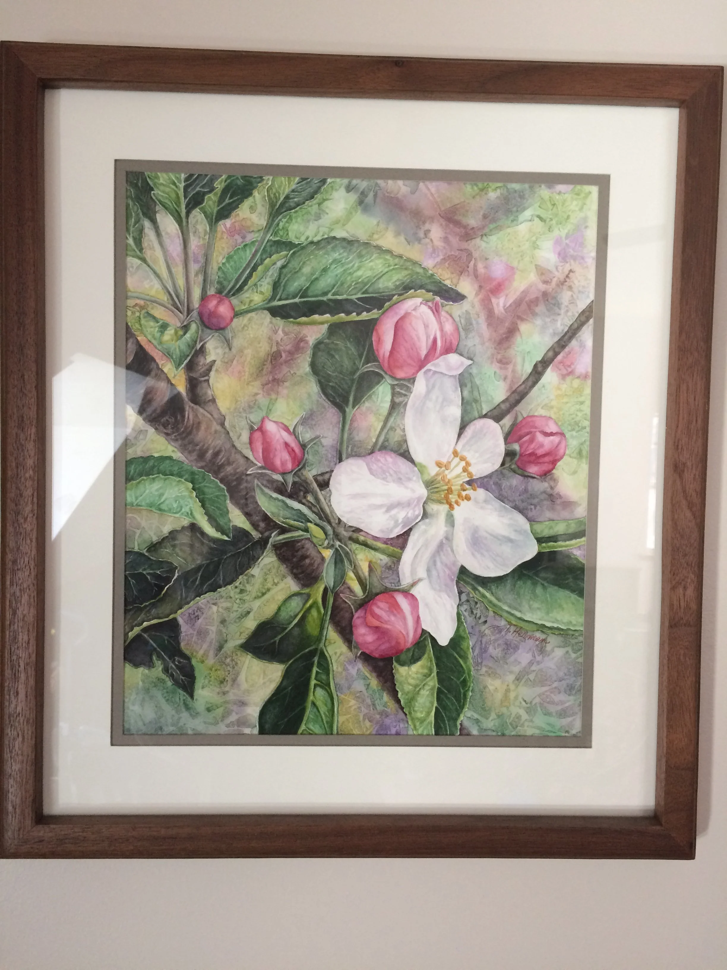 Herman_Apple Blossoms_740.jpeg