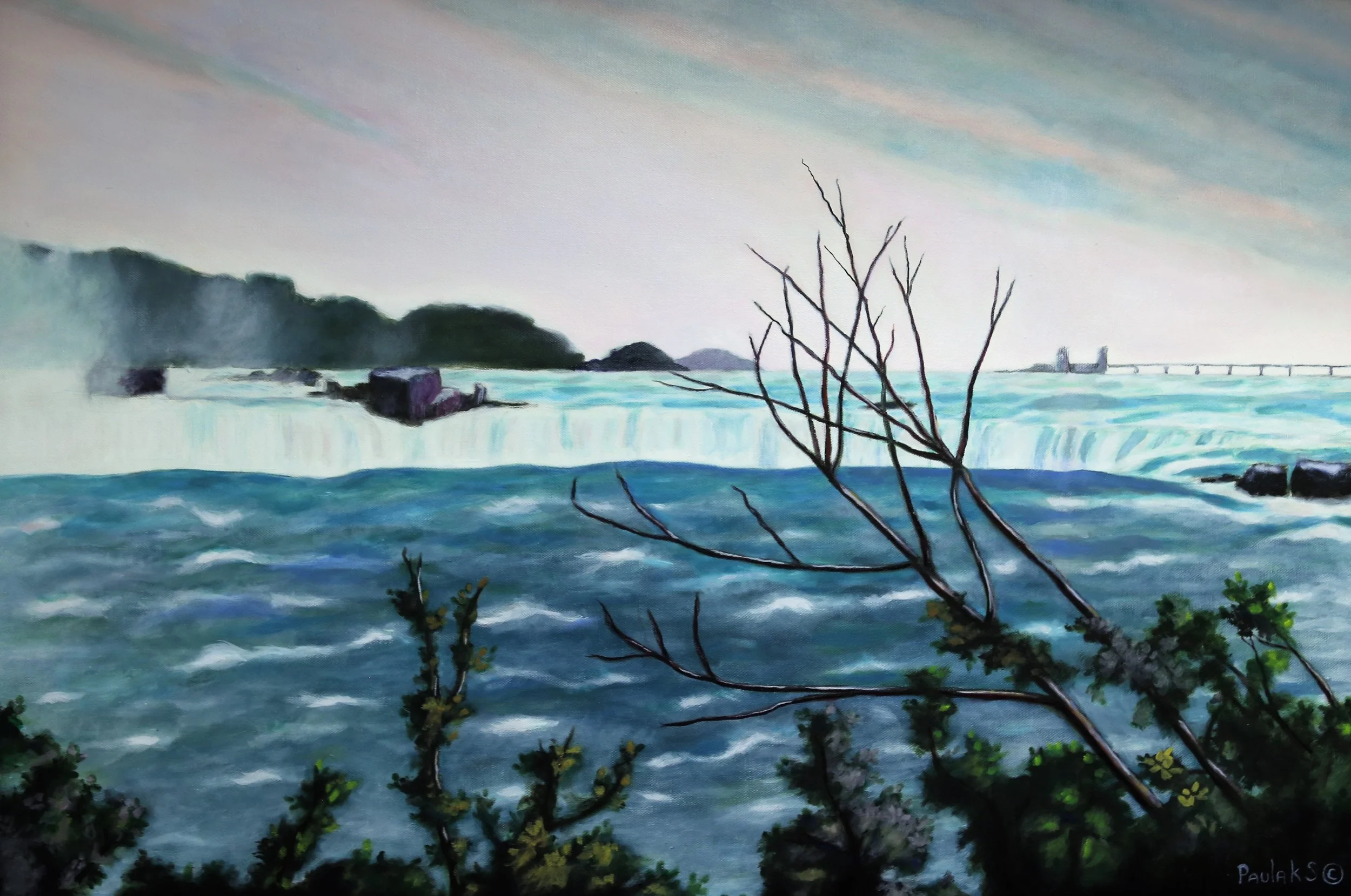 Siebieda_Niagra Falls_650.JPG