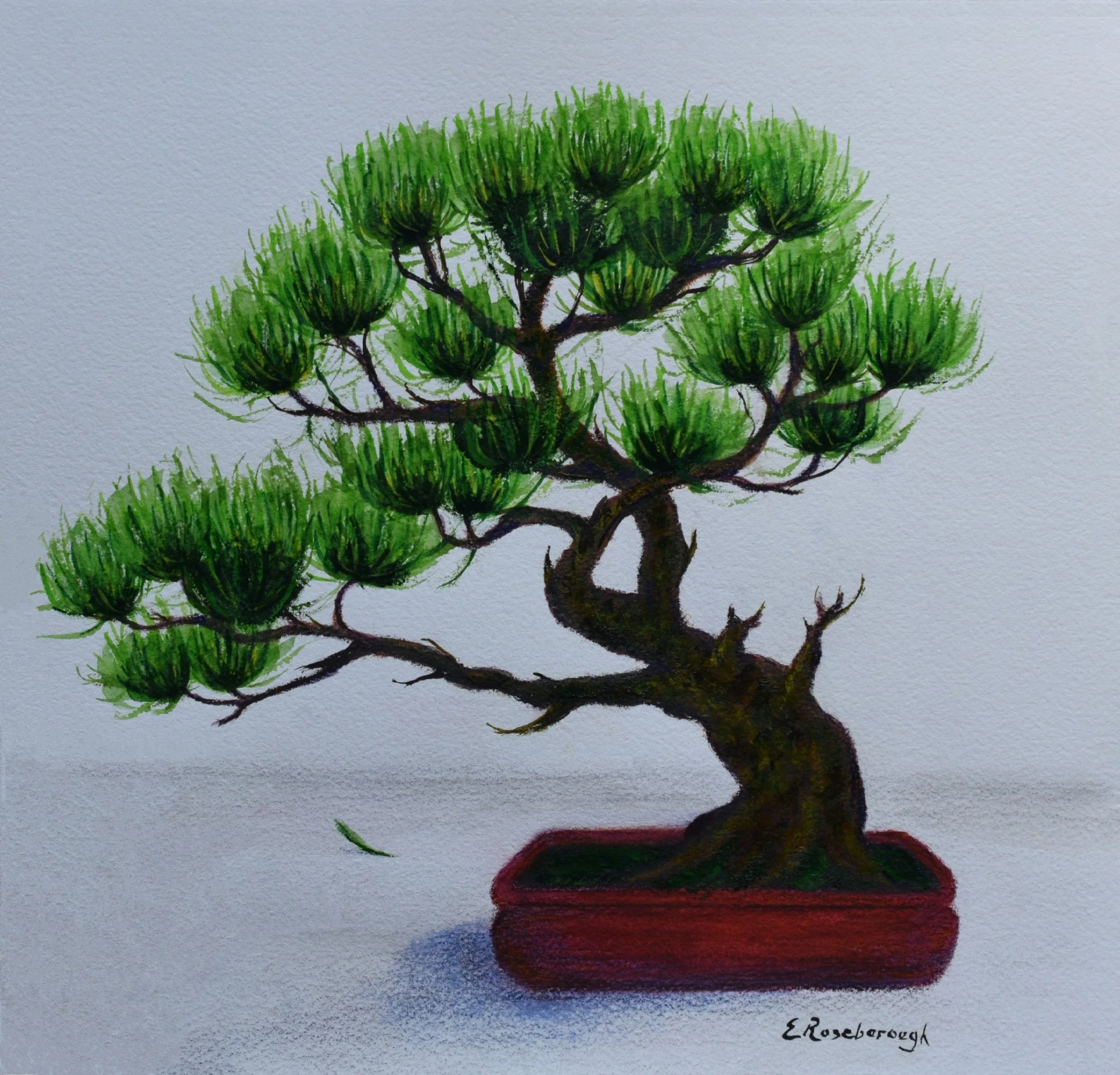 Bonsai Beauty