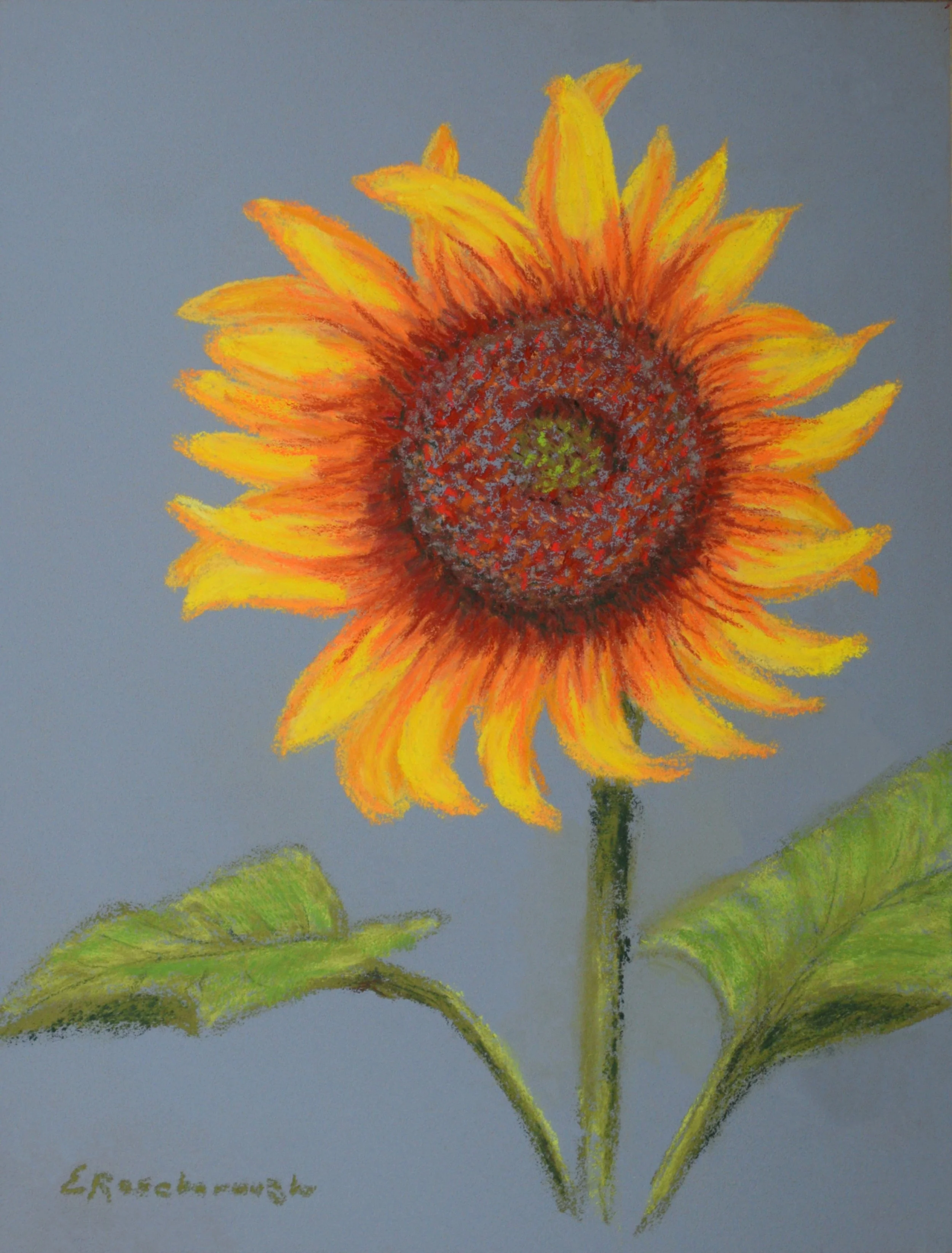 Sunflower on Blue