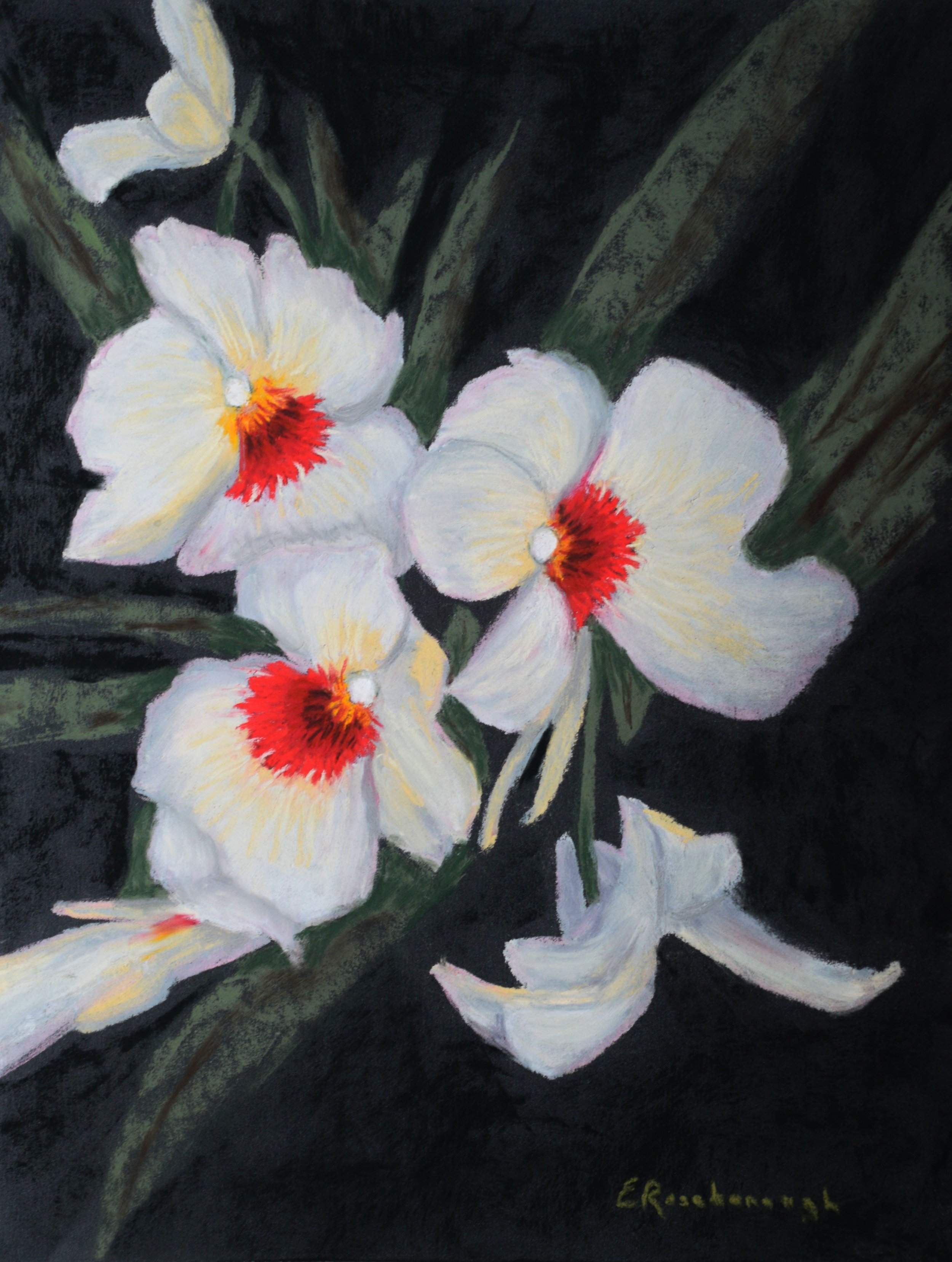 Roseborough_Three+Sisters_13x16_140.JPG