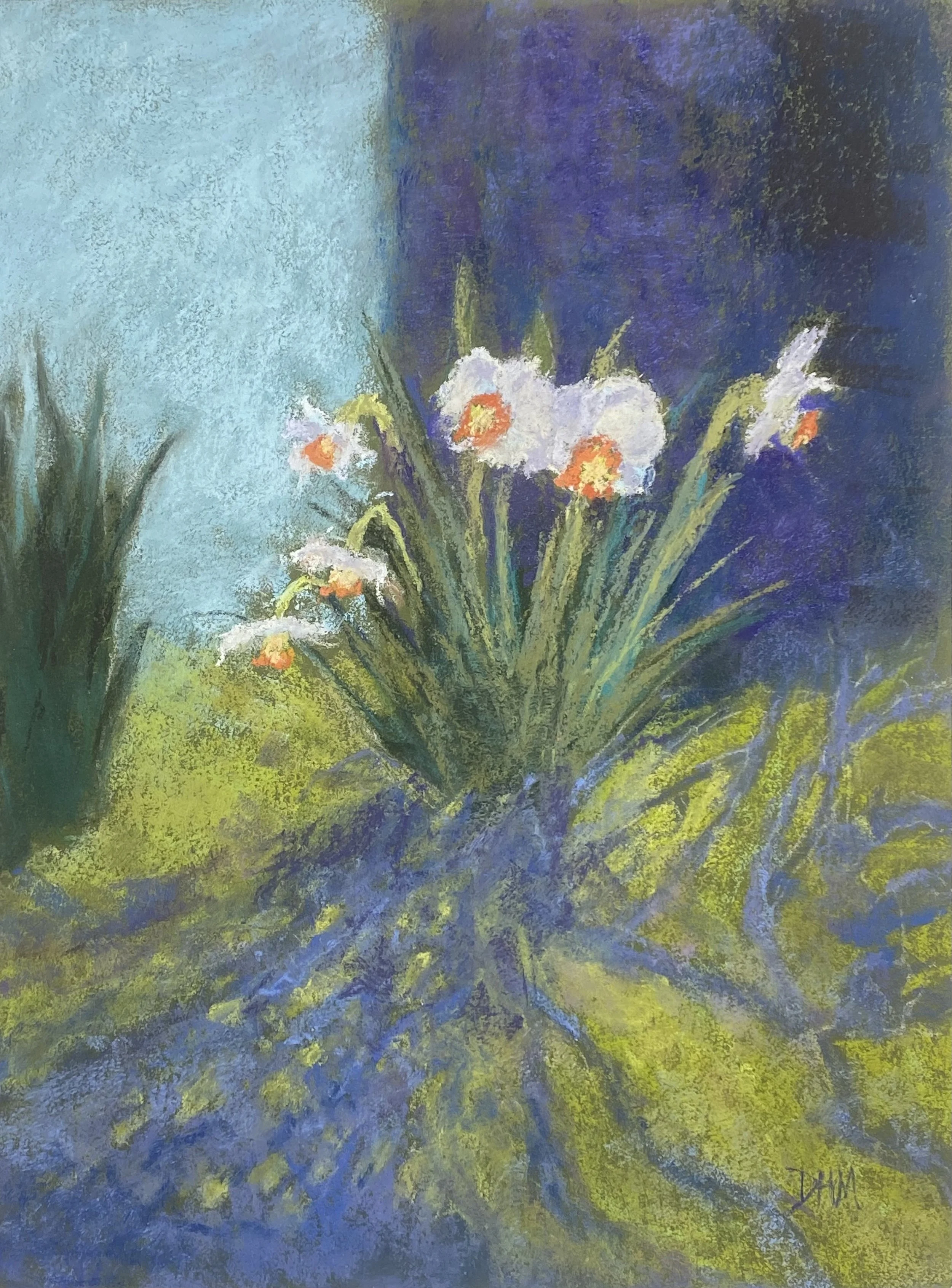 Daffodil Dance