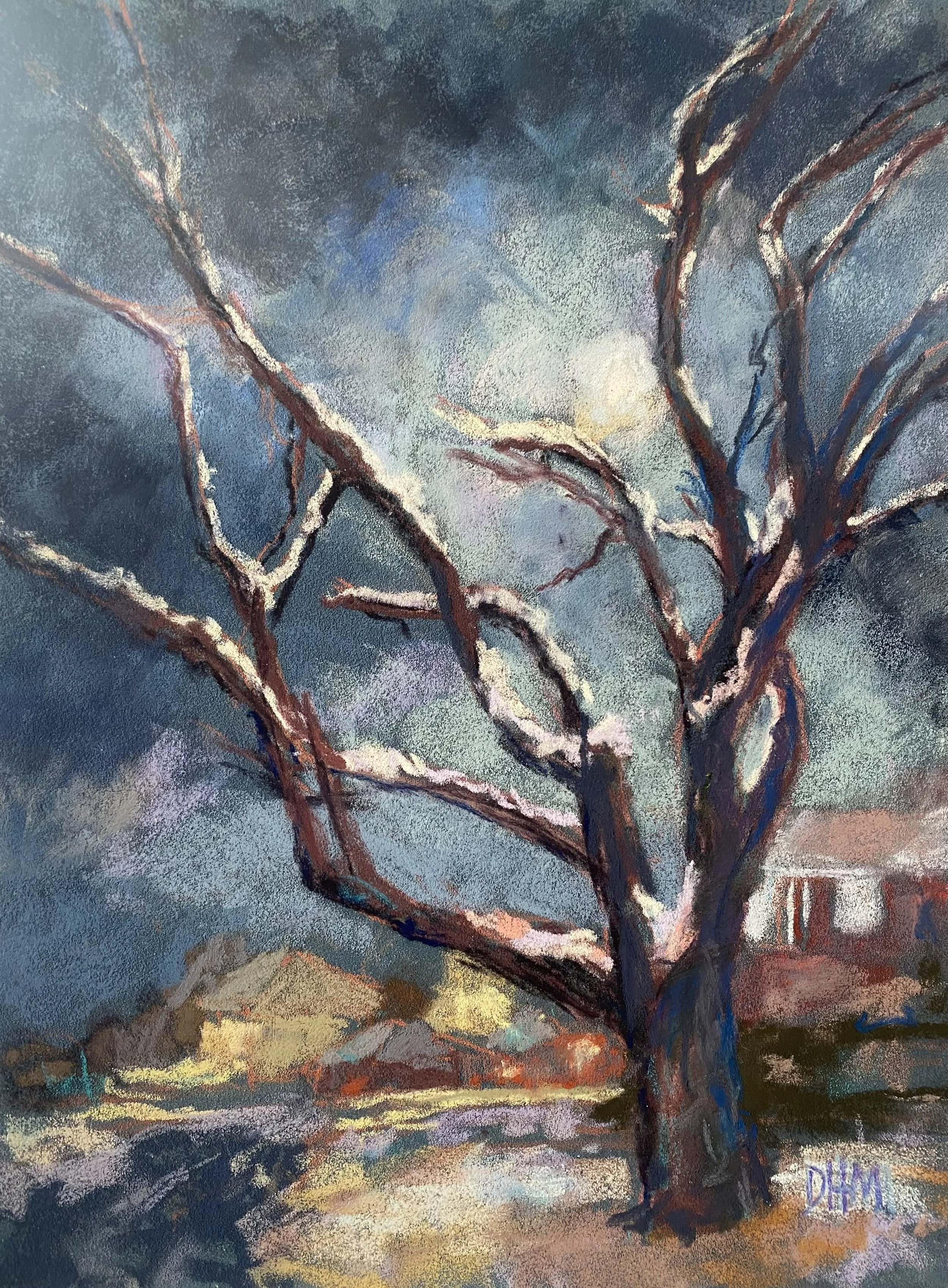 Murray_Moonlight_12x14_175.jpg