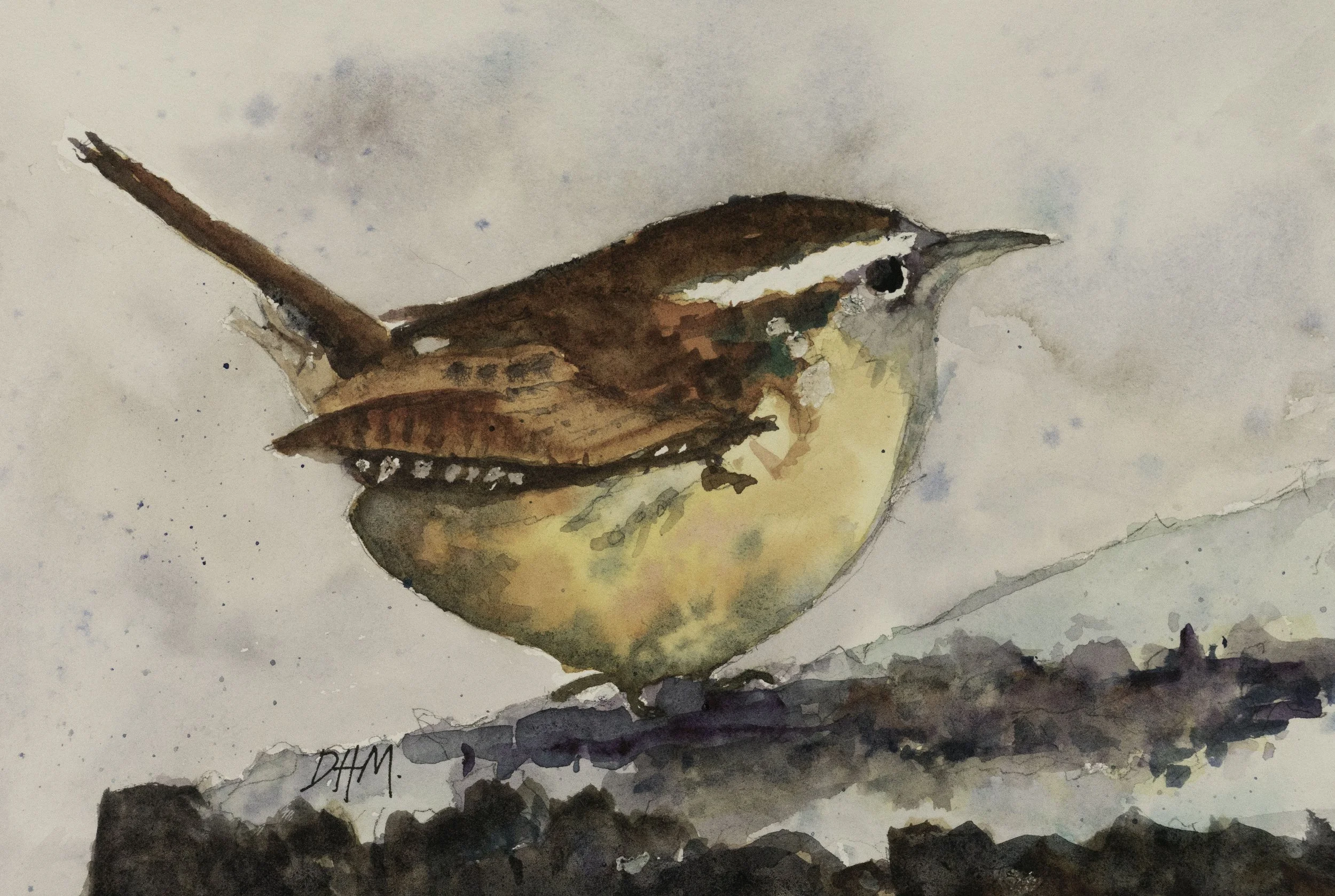 Carolina Wren